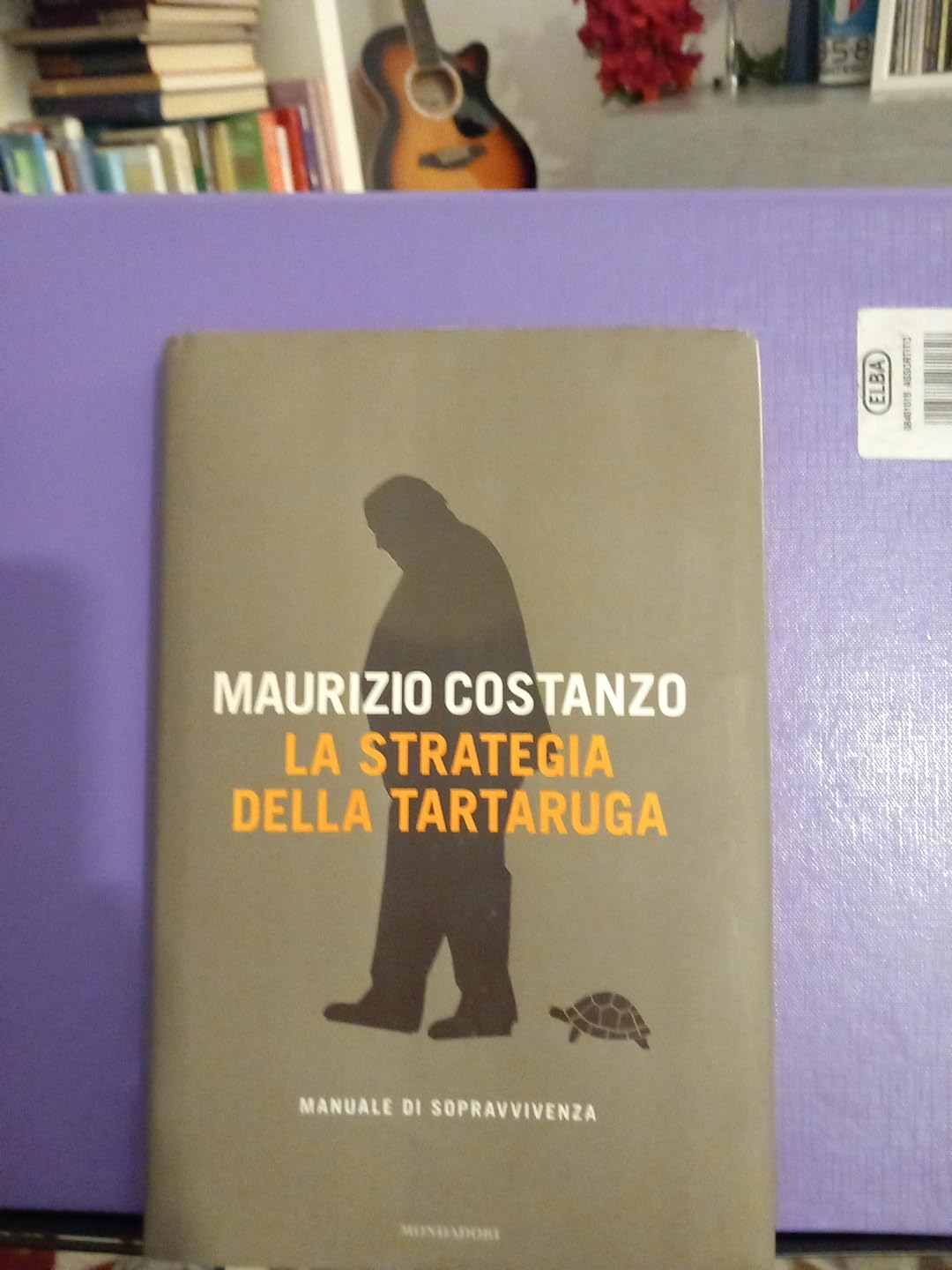La strategia della tartaruga. Manuale di sopravvivenza (Ingrandimenti) Philosophy