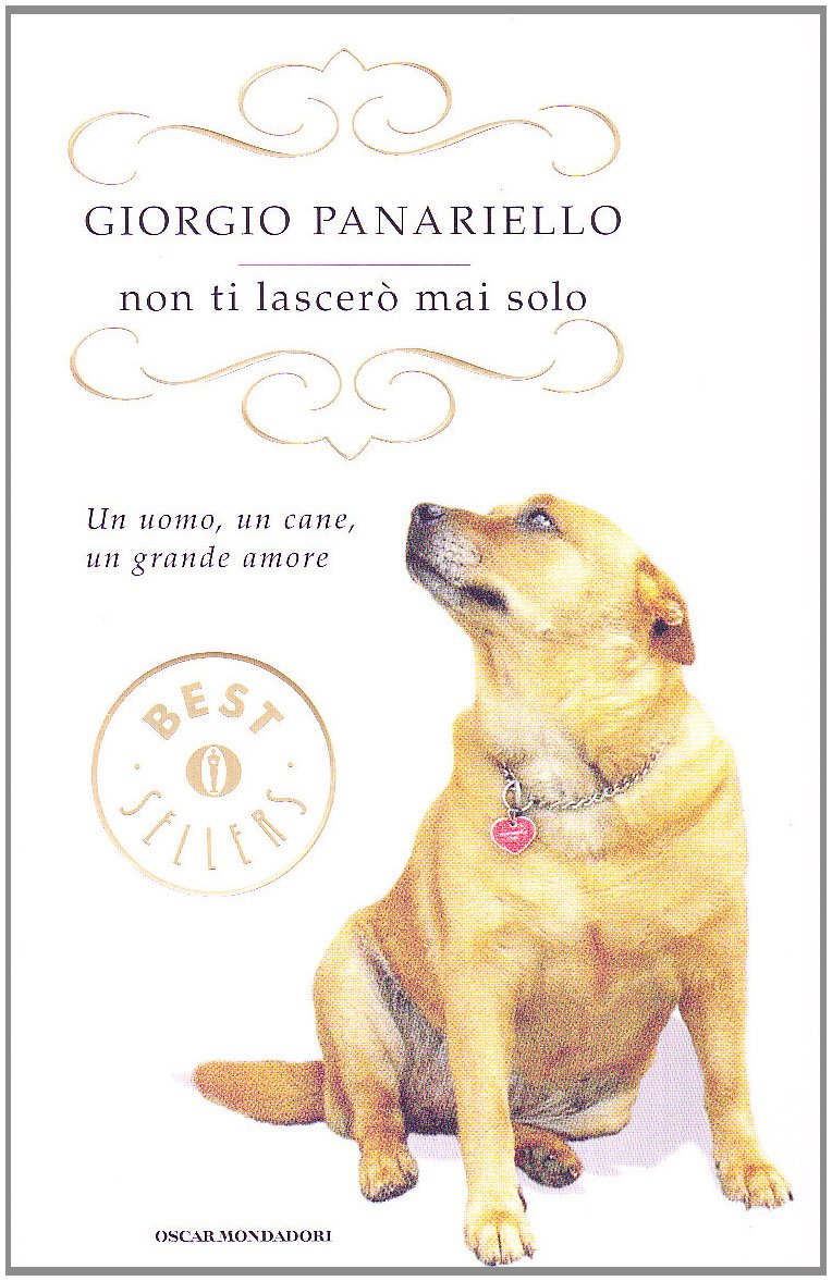 Non ti lascerò mai solo Contemporary literature