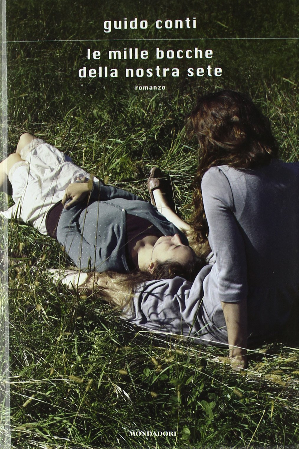 Le mille bocche della nostra sete book