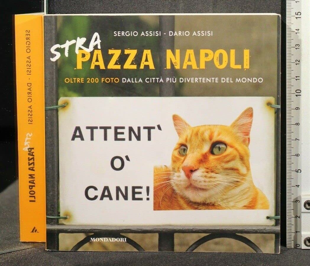 Strapazza Napoli. Oltre 200 foto dalla città più divertente del mondo Travel
