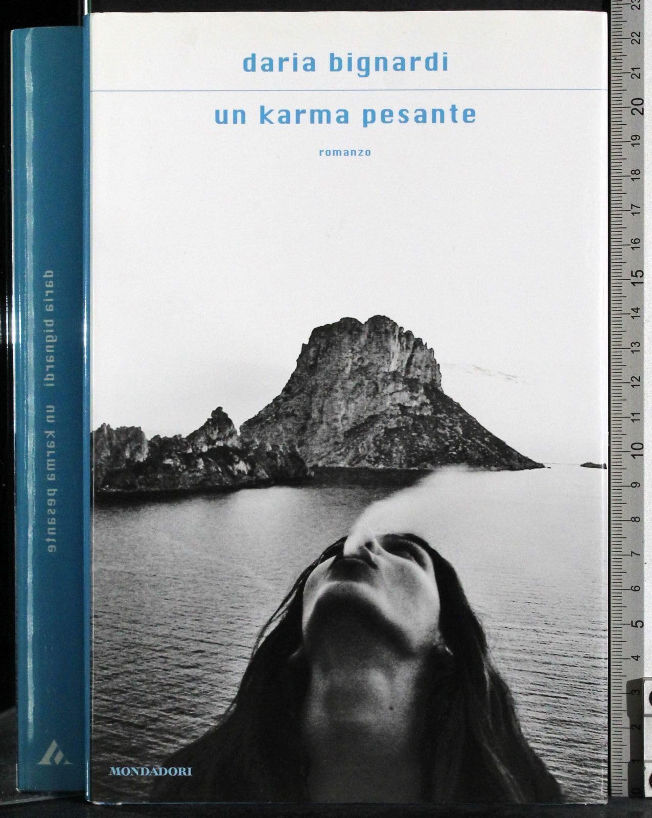 Un karma pesante Contemporary literature Books
