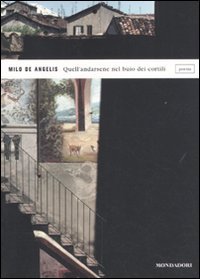 Quell'andarsene nel buio dei cortili book