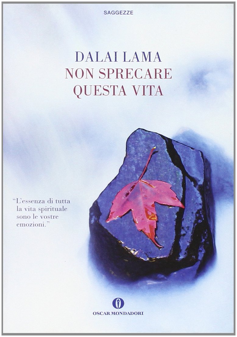 Non sprecare questa vita book