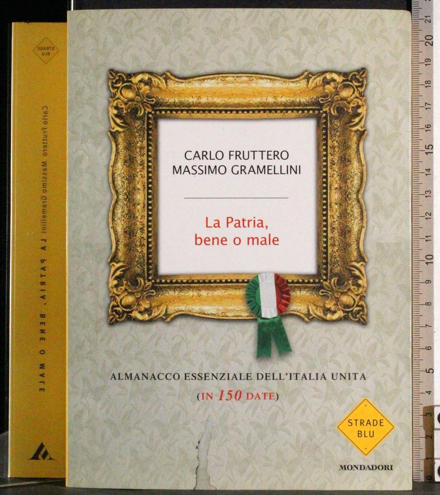 La patria, bene o male. Almanacco essenziale dell'Italia unita (in 150 date) (Strade blu. Non Fiction) Politics & History
