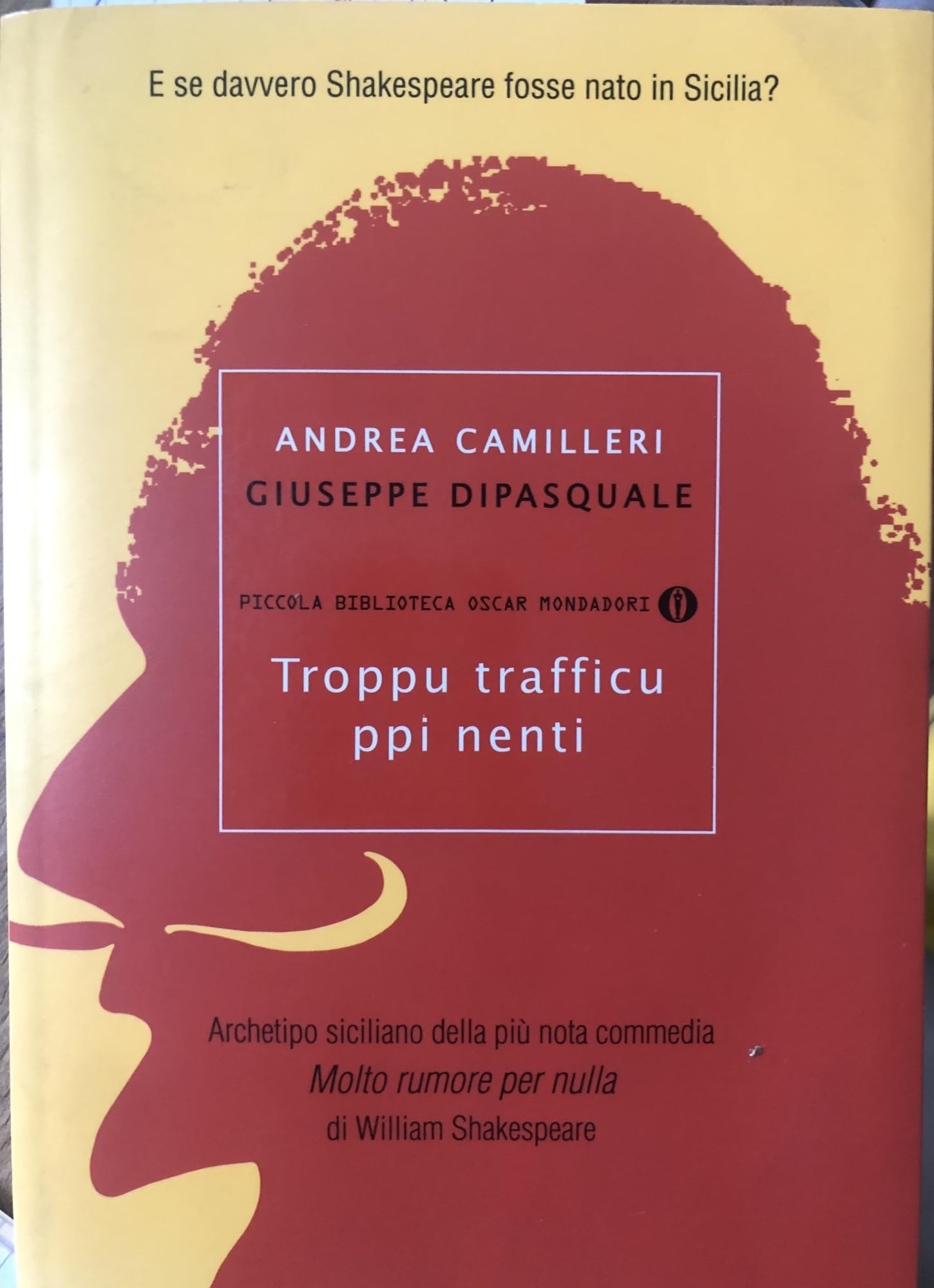 Troppu trafficu ppi nenti book