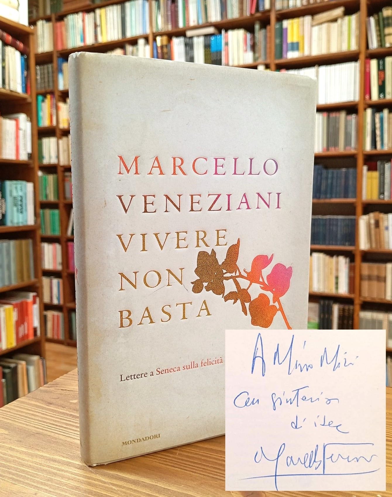 Vivere non basta. Lettere a Seneca sulla felicità book