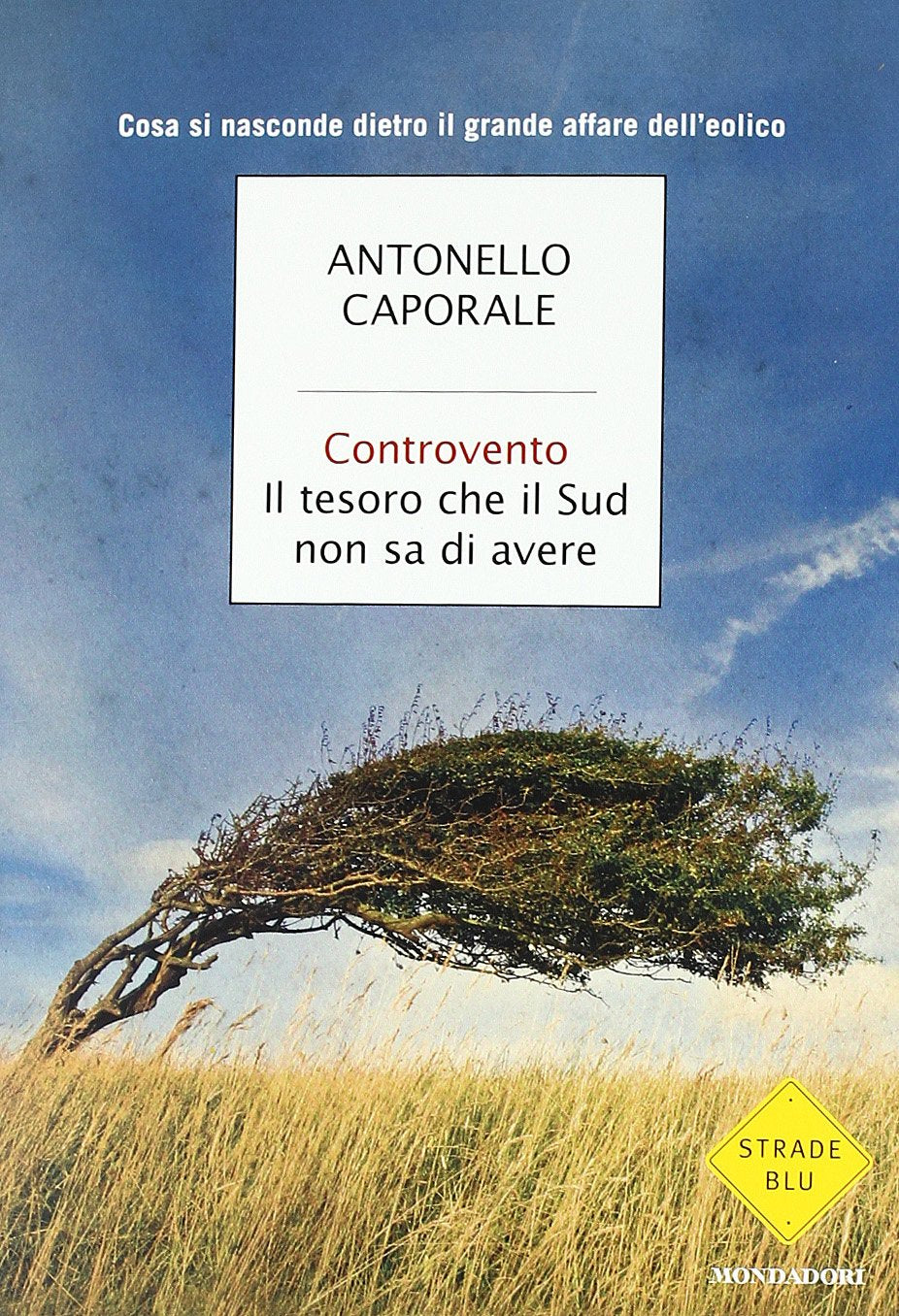 Controvento. Il tesoro che il Sud non sa di avere book