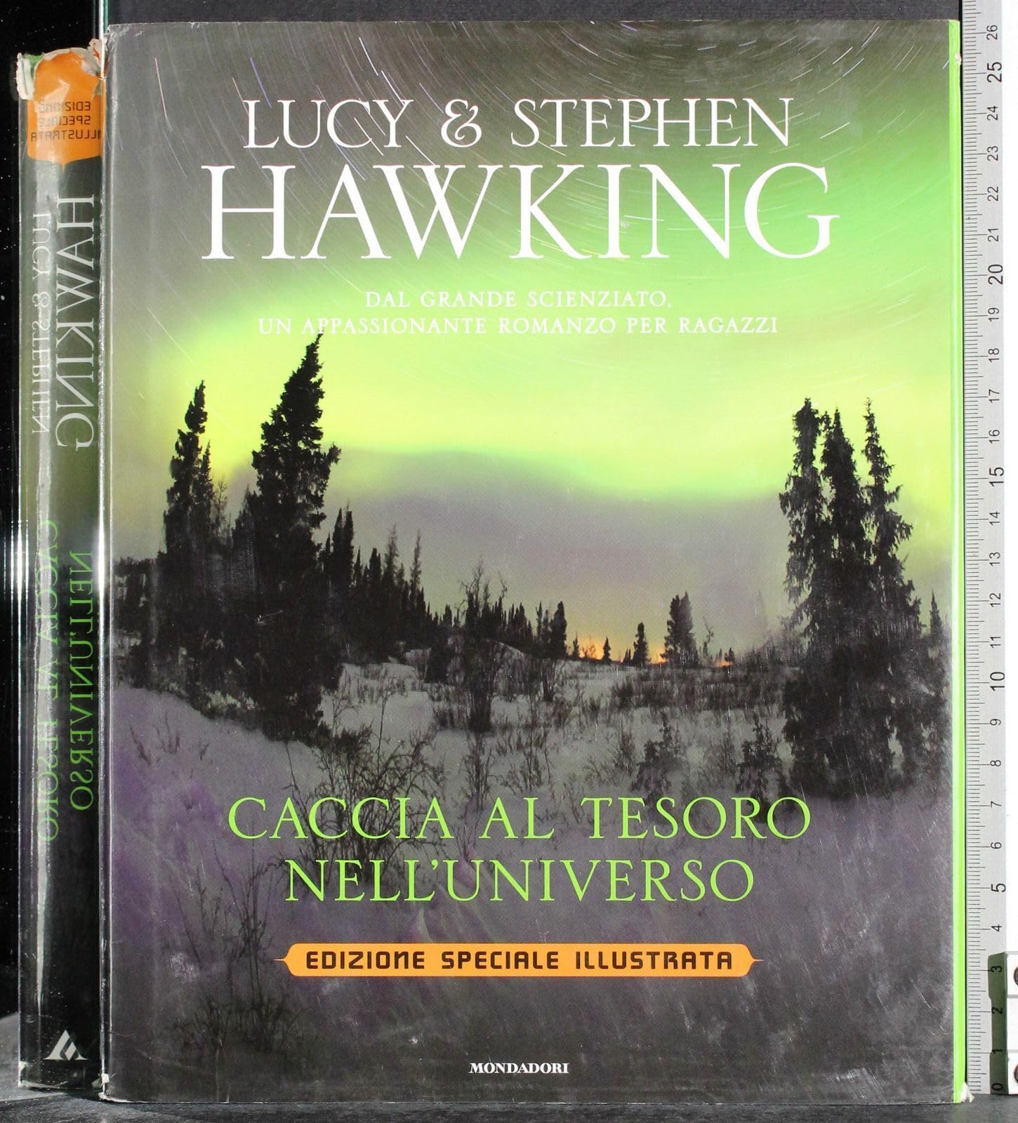 Caccia al tesoro nell'universo. Ediz. speciale book
