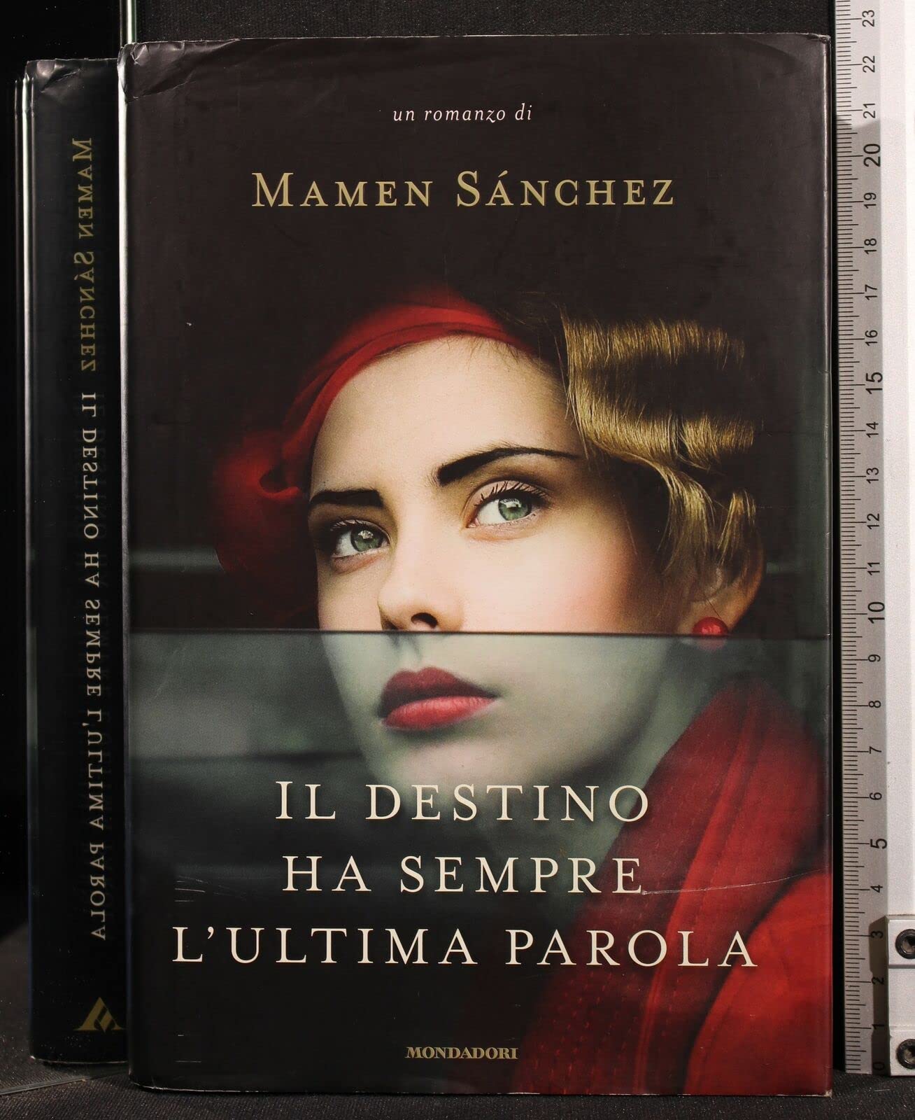 Il destino ha sempre l'ultima parola book