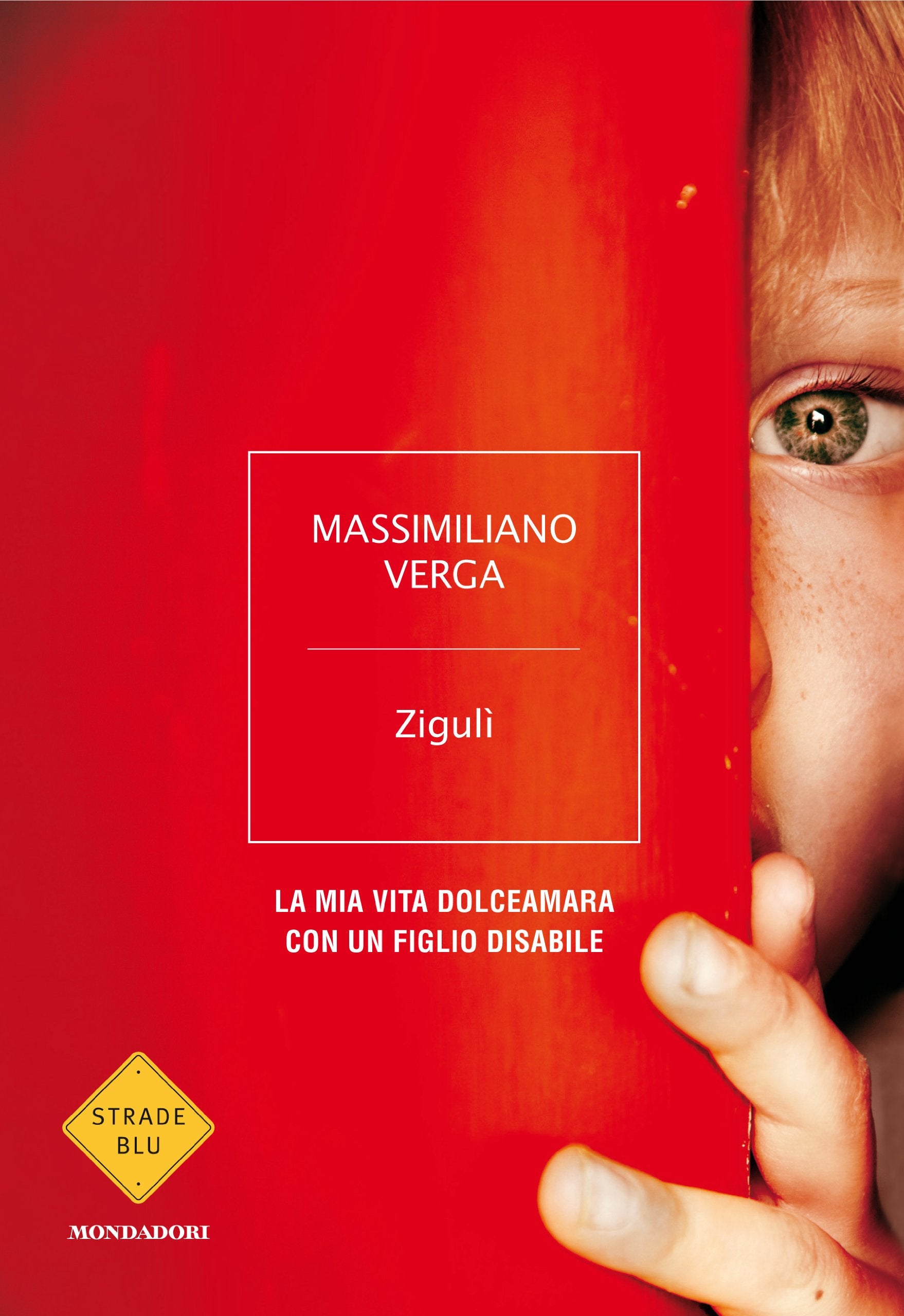 Zigulì. La mia vita dolceamara con un figlio disabile book