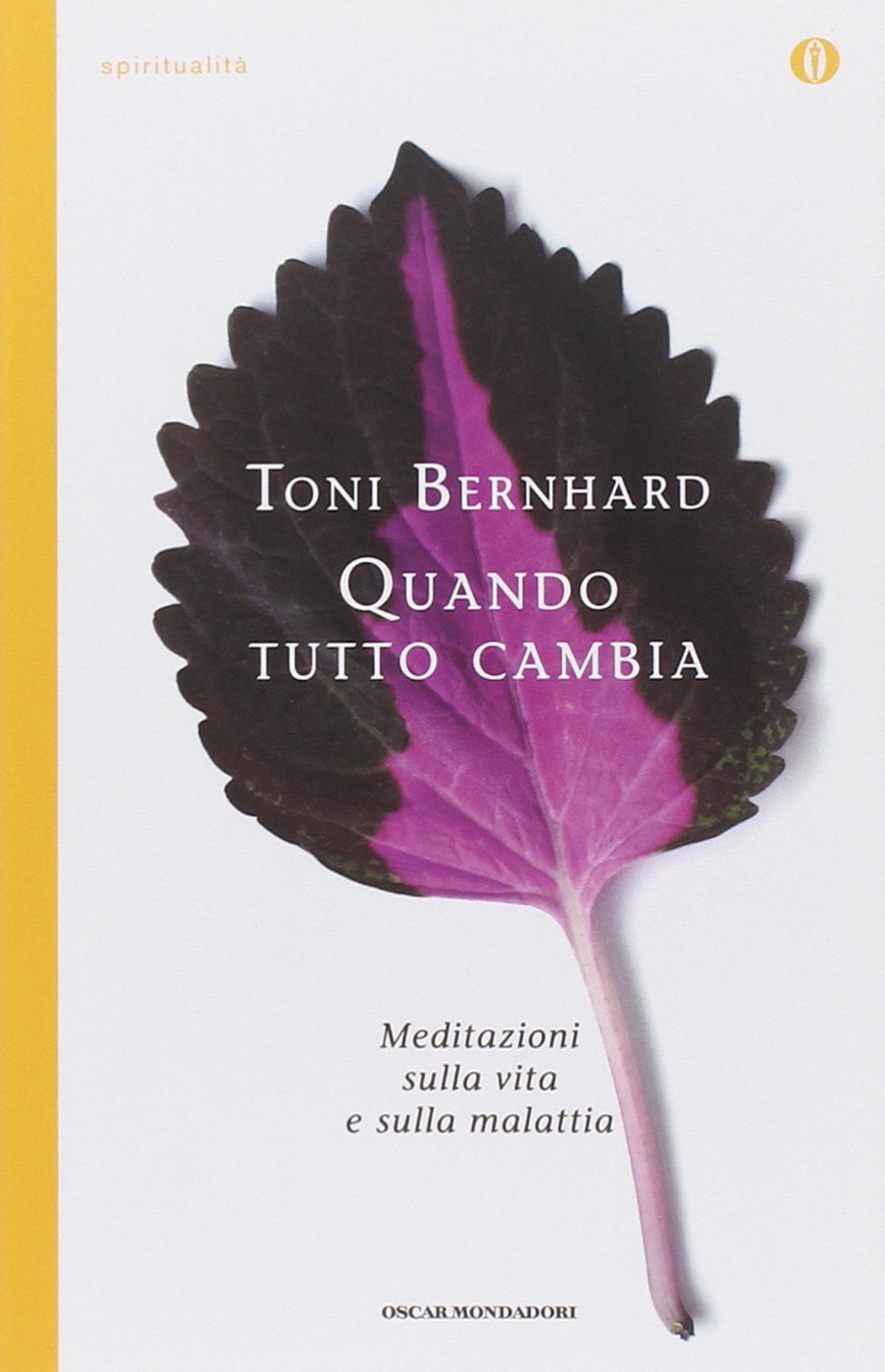 Quando tutto cambia. Meditazioni sulla vita e sulla malattia book
