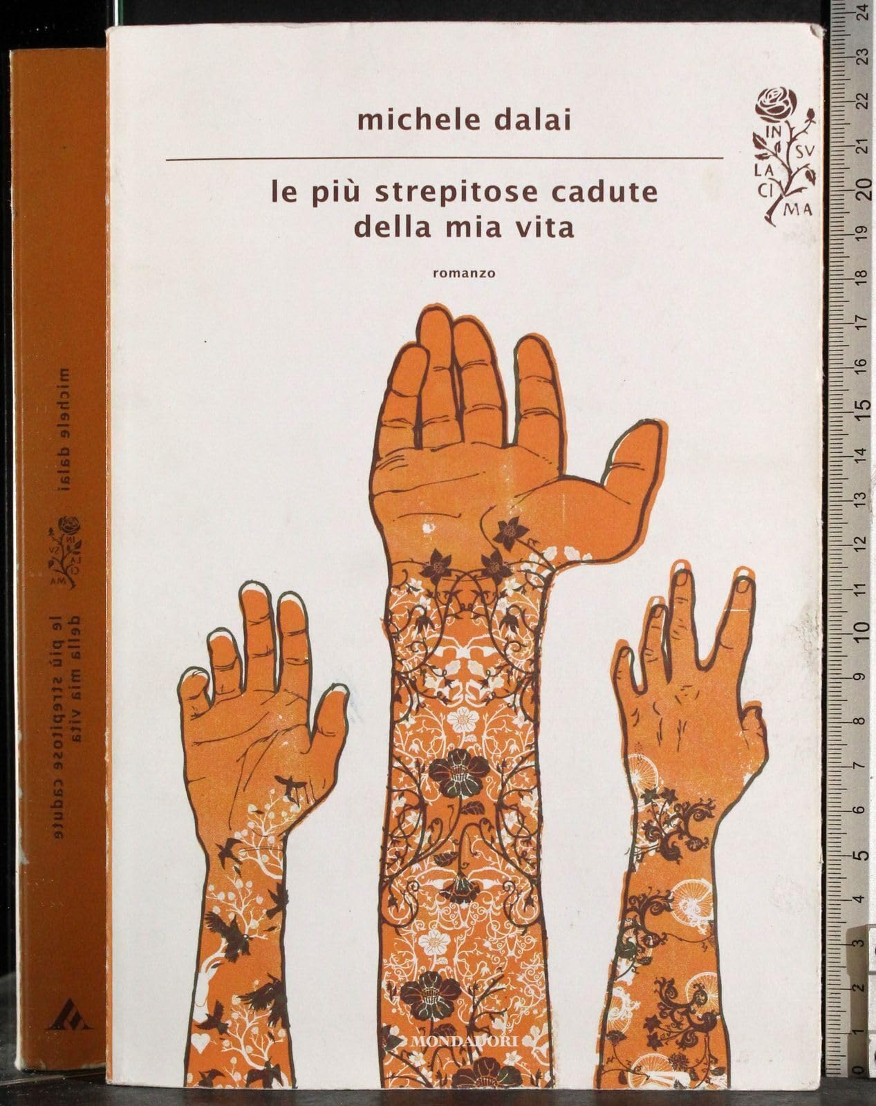 Le più strepitose cadute della mia vita book