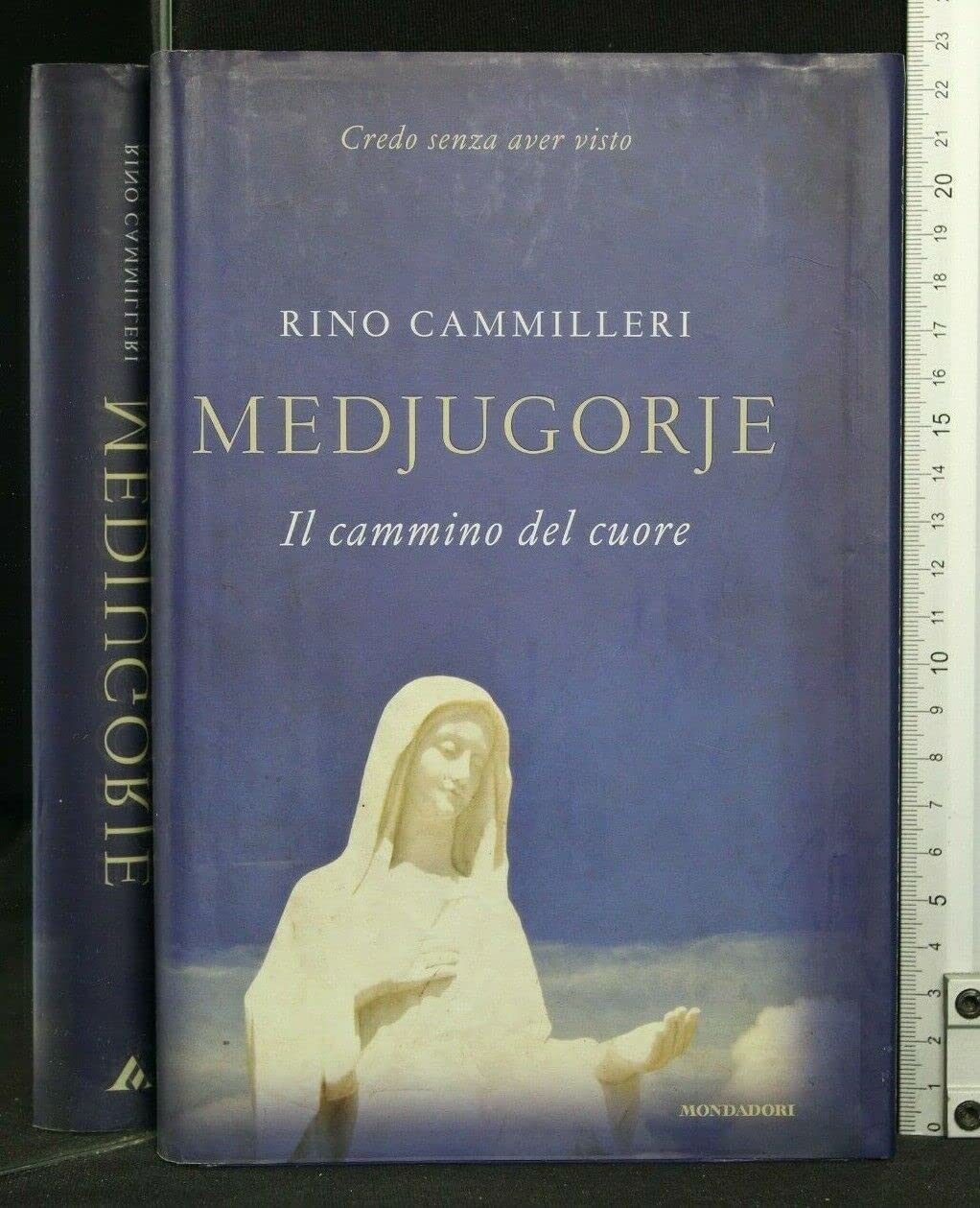 Medjugorie. Il cammino del cuore book