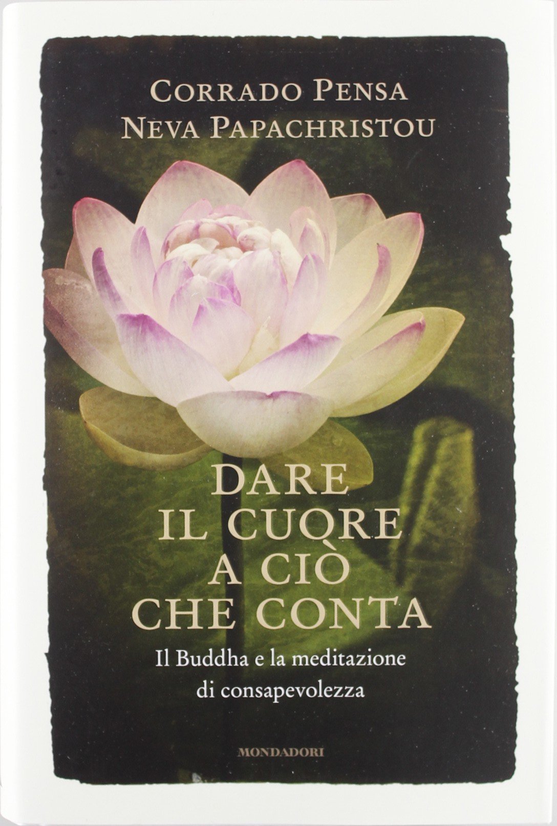 Dare il cuore a ciò che conta. Il Buddha e la meditazione di consapevolezza book