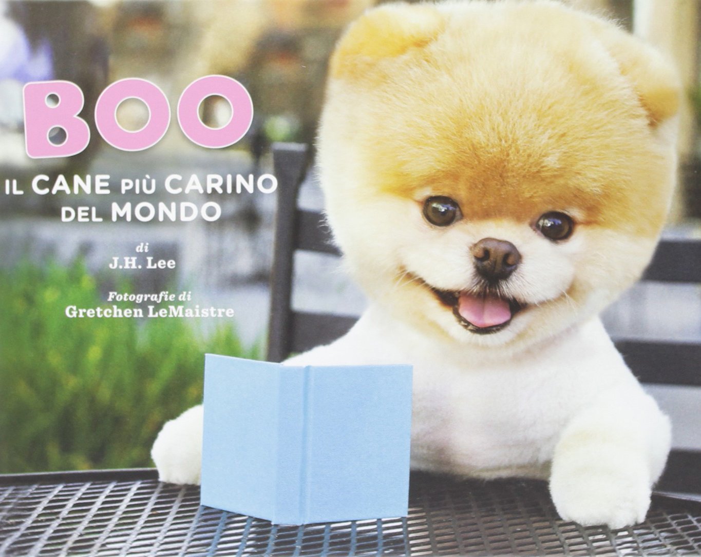 Boo. Il cane più carino del mondo. Ediz. illustrata book