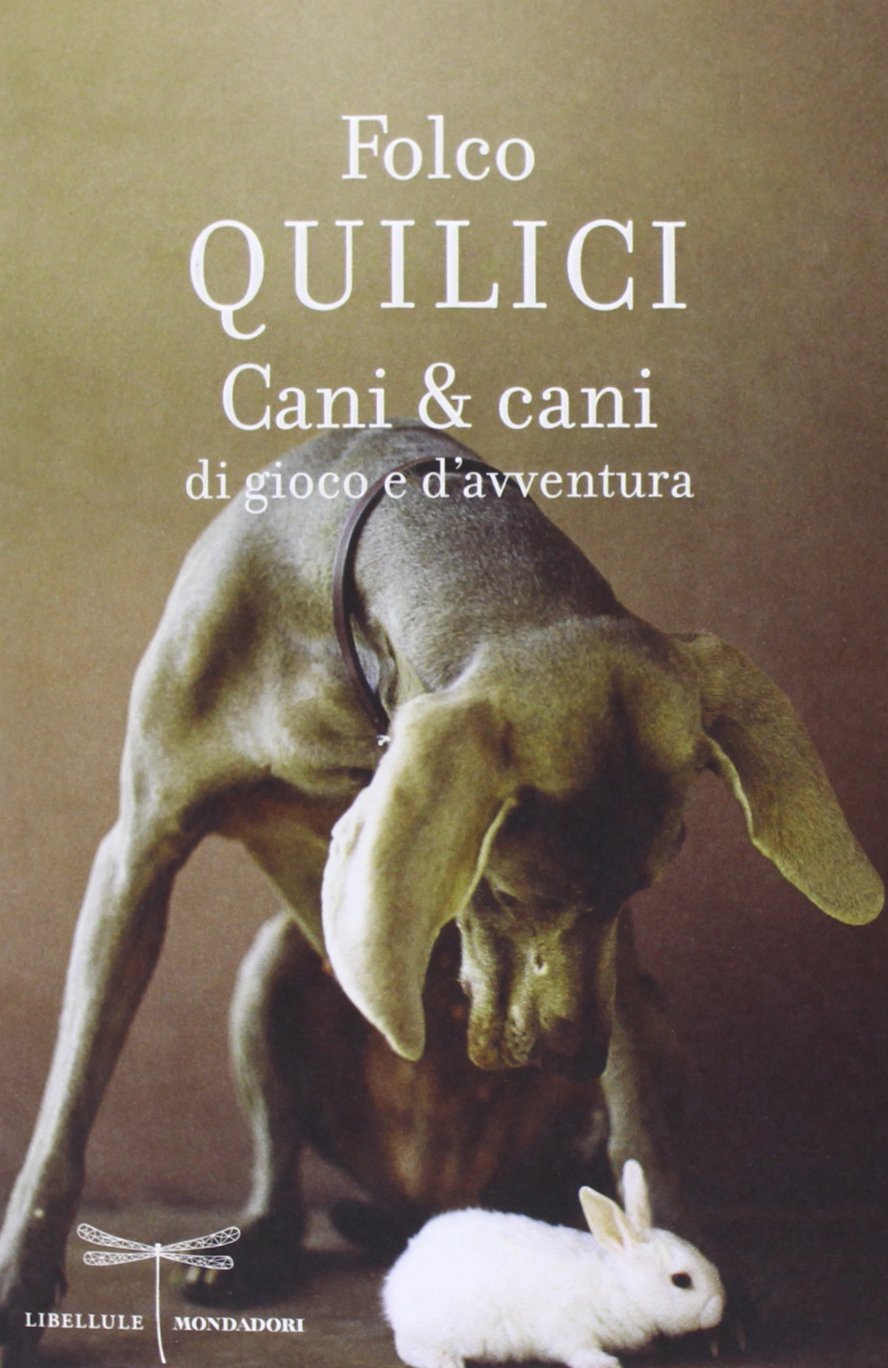 Product Image: Cani & cani di gioco e d'avventura