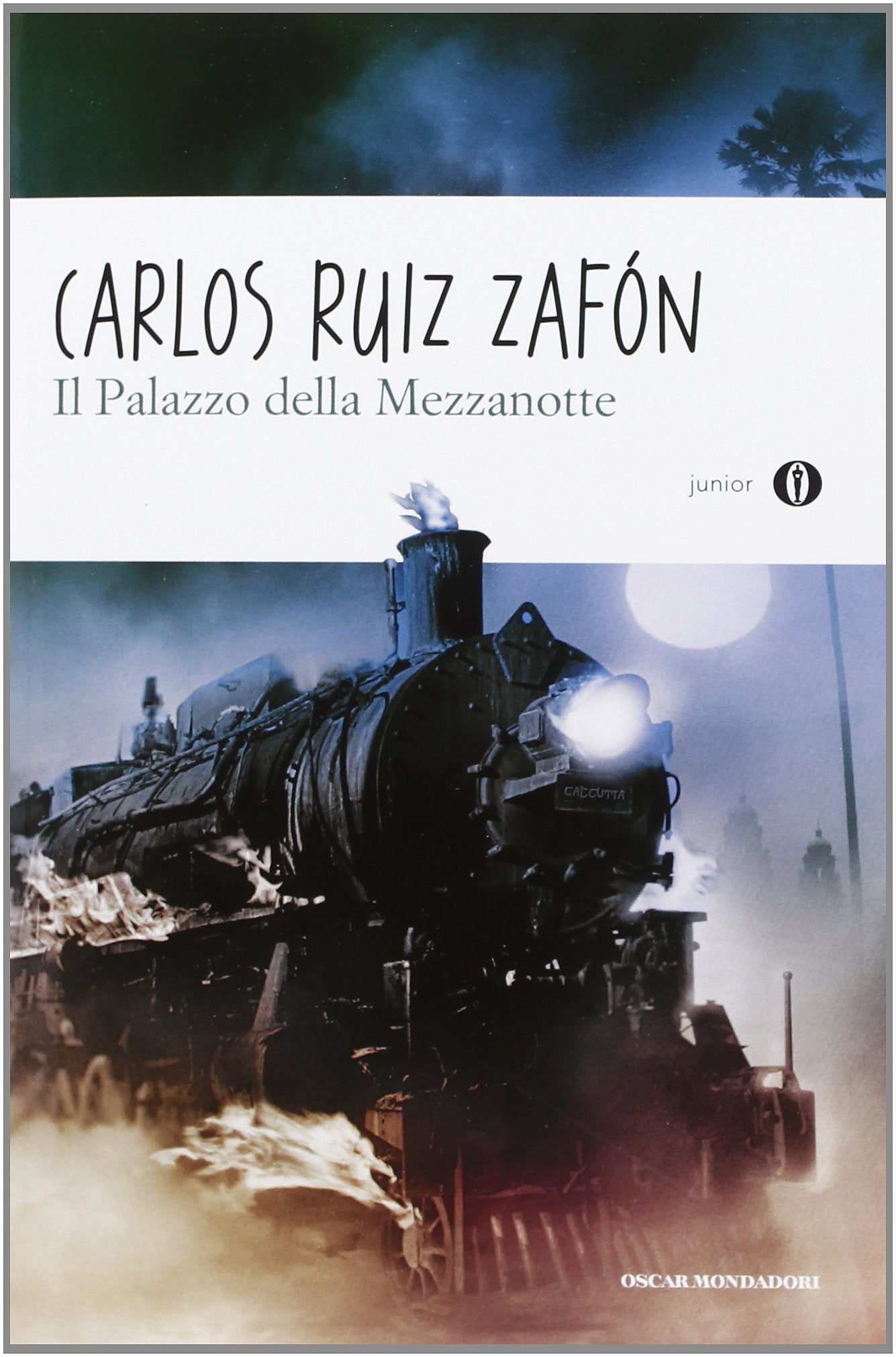 Il palazzo della mezzanotte book