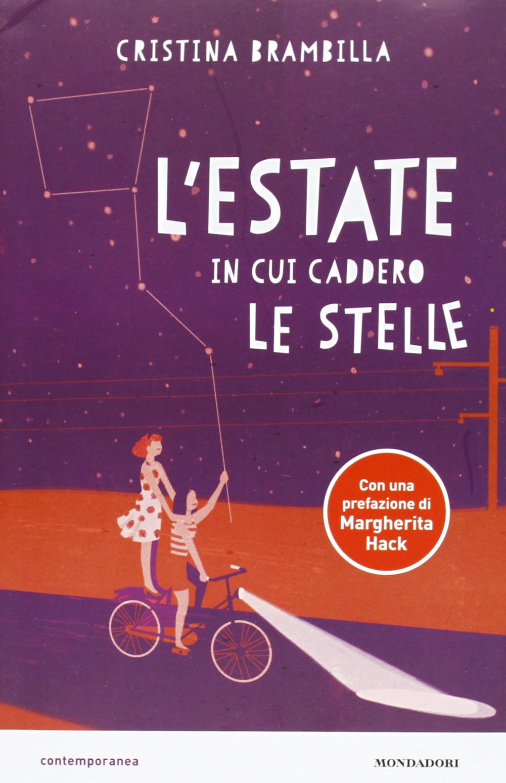 L'estate in cui caddero le stelle book