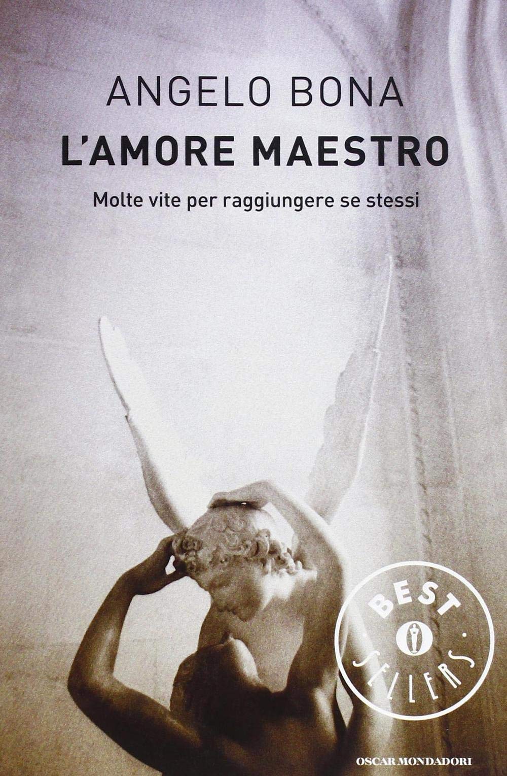 L'amore maestro. Molte vite per raggiungere se stessi book
