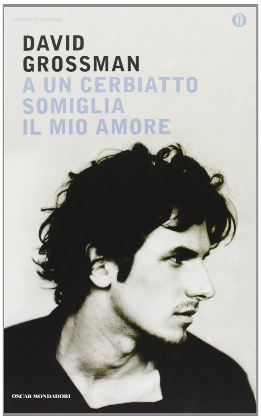 A un cerbiatto somiglia il mio amore book