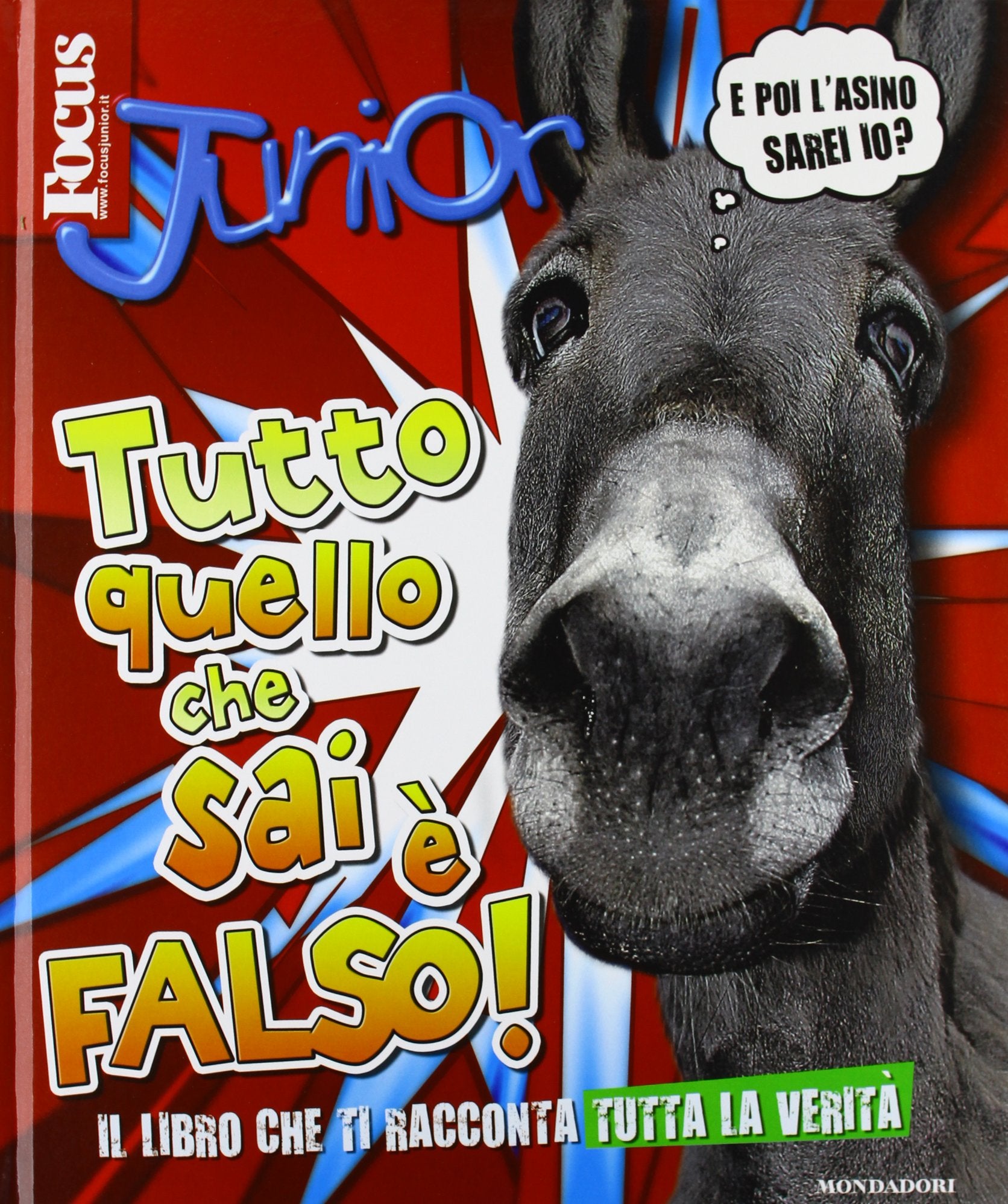 Focus Junior. Tutto quello che sai è falso book