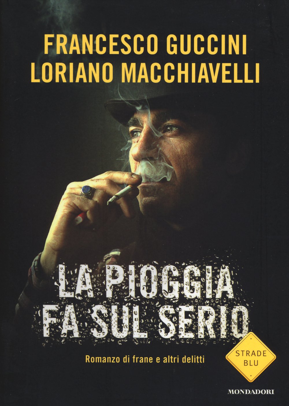 La pioggia fa sul serio. Romanzo di frane e altri delitti book