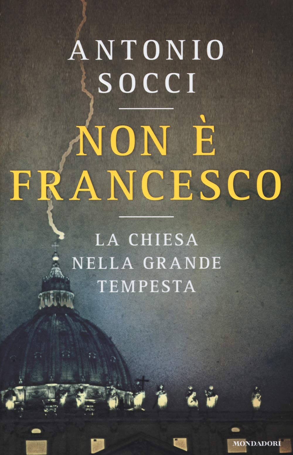 Non è Francesco. La Chiesa nella grande tempesta (Frecce) Contemporary literature