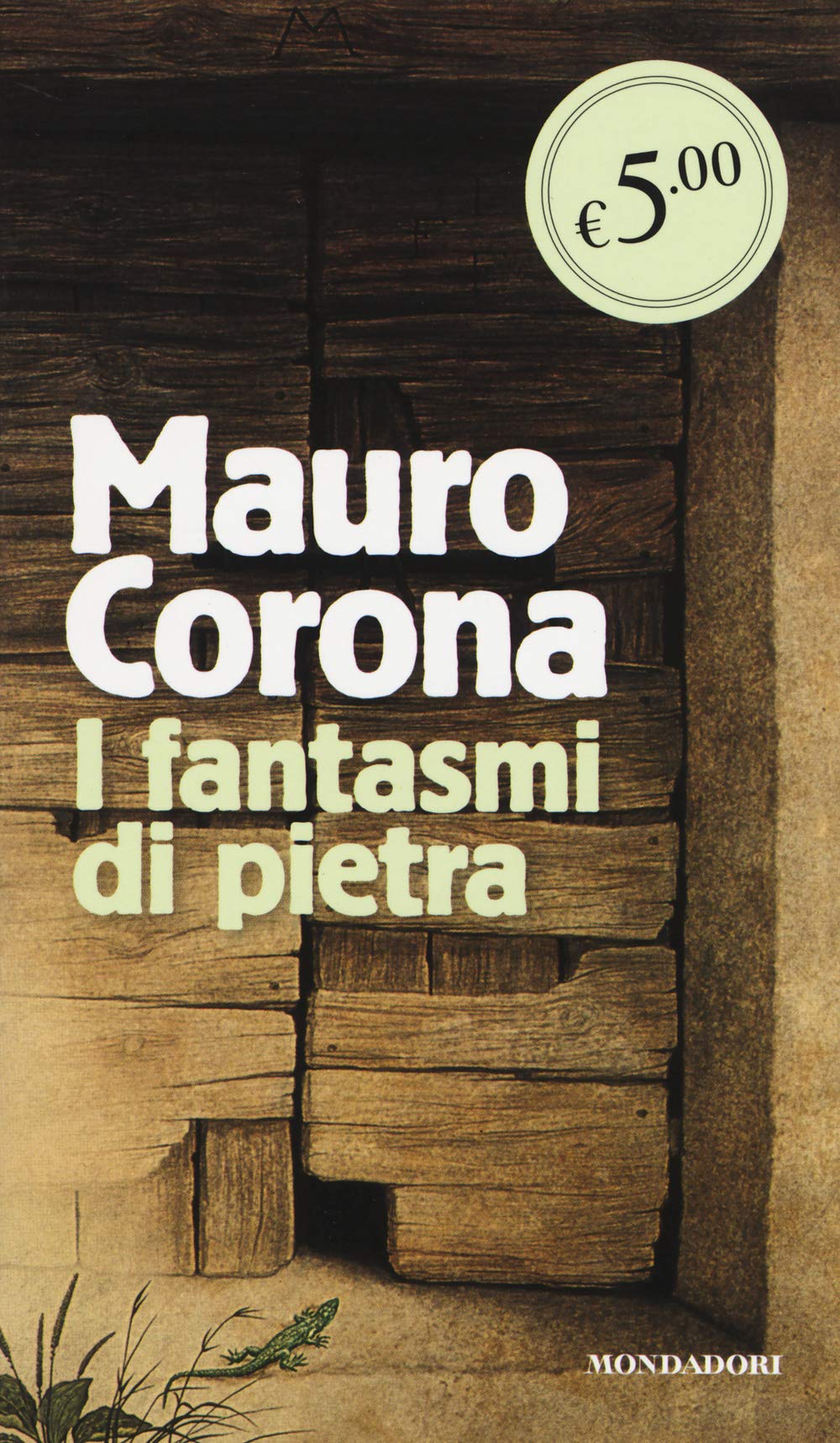 I fantasmi di pietra book