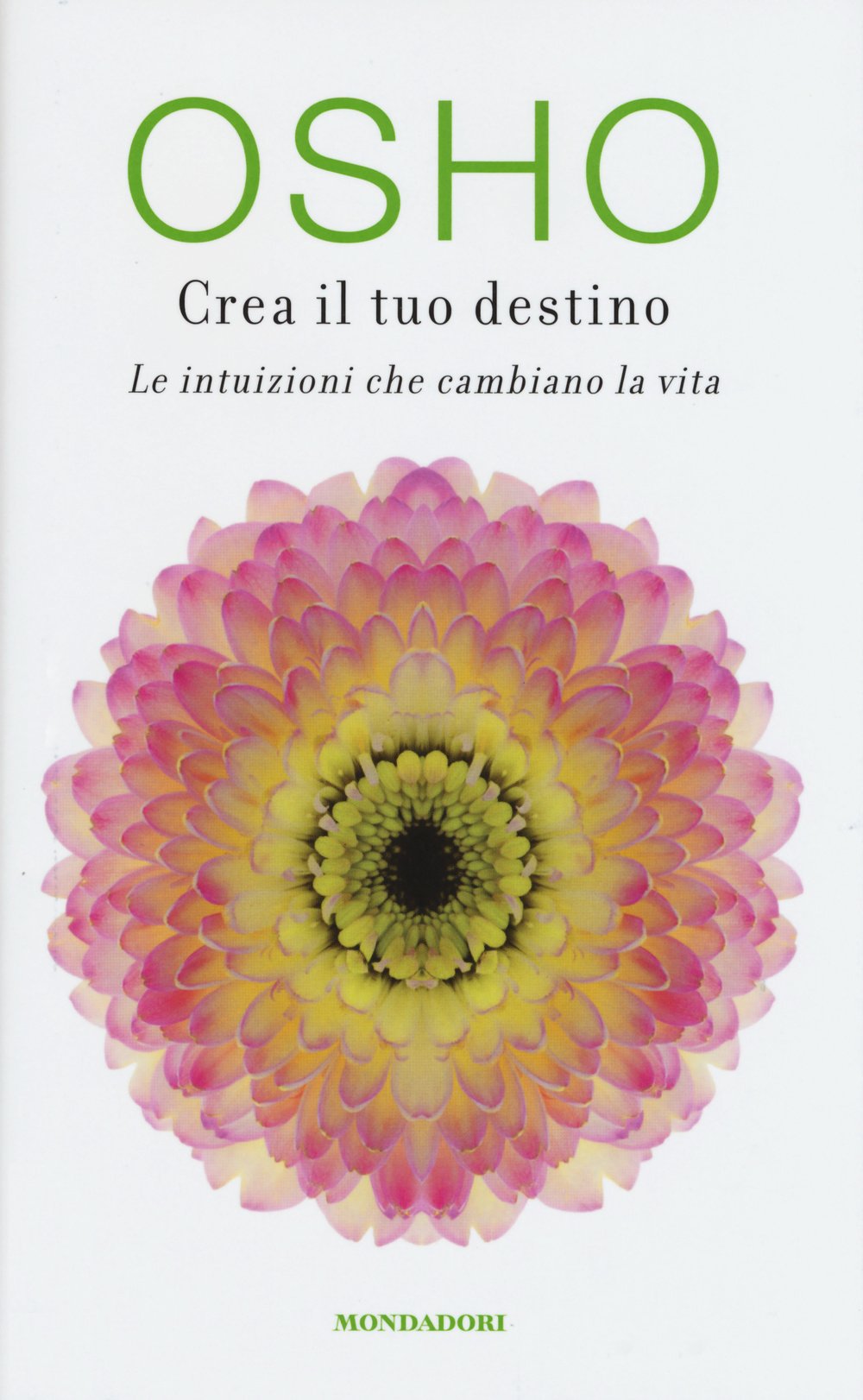 Crea il tuo destino. Le intuizioni che cambiano la vita (Arcobaleno) Religion & Esotericism