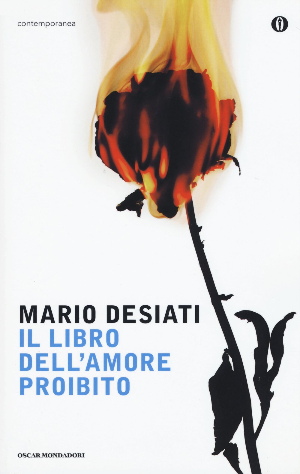 Desiati, M: Libro dell'amore proibito Contemporary literature