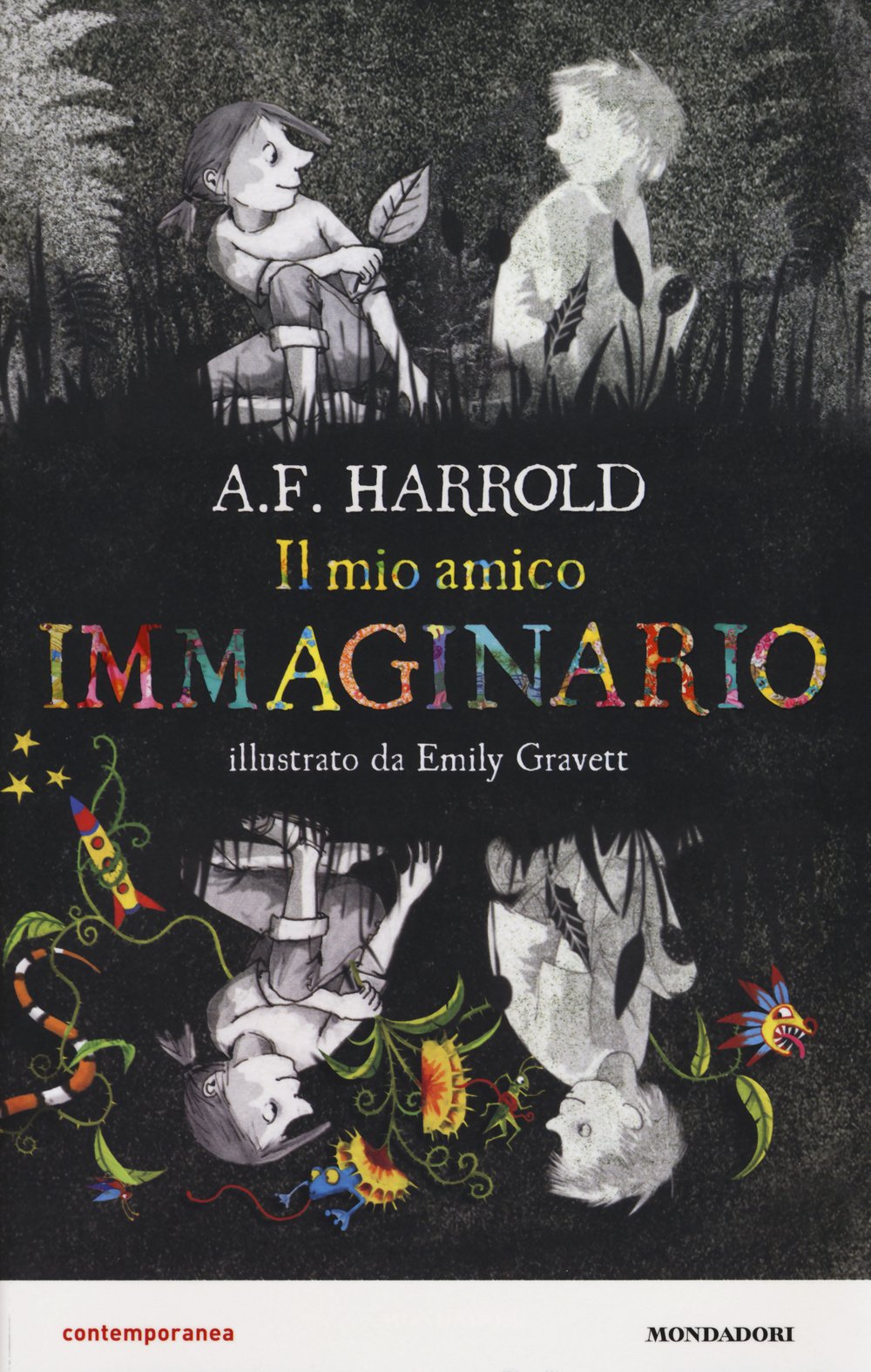 Il mio amico immaginario book