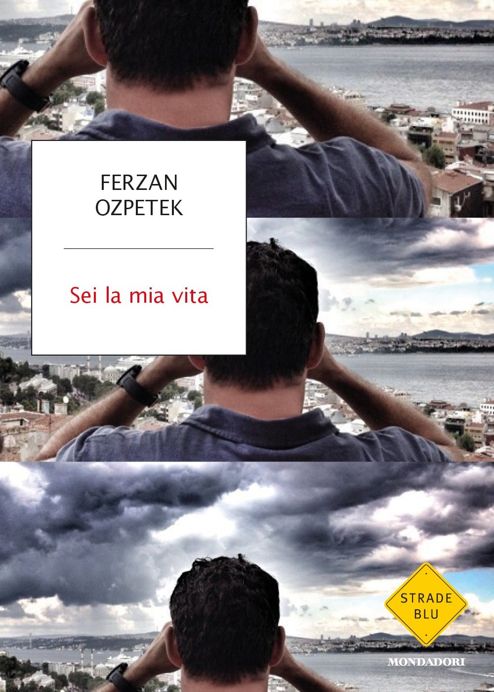 Sei la mia vita (Strade blu. Non Fiction) Art & Literature