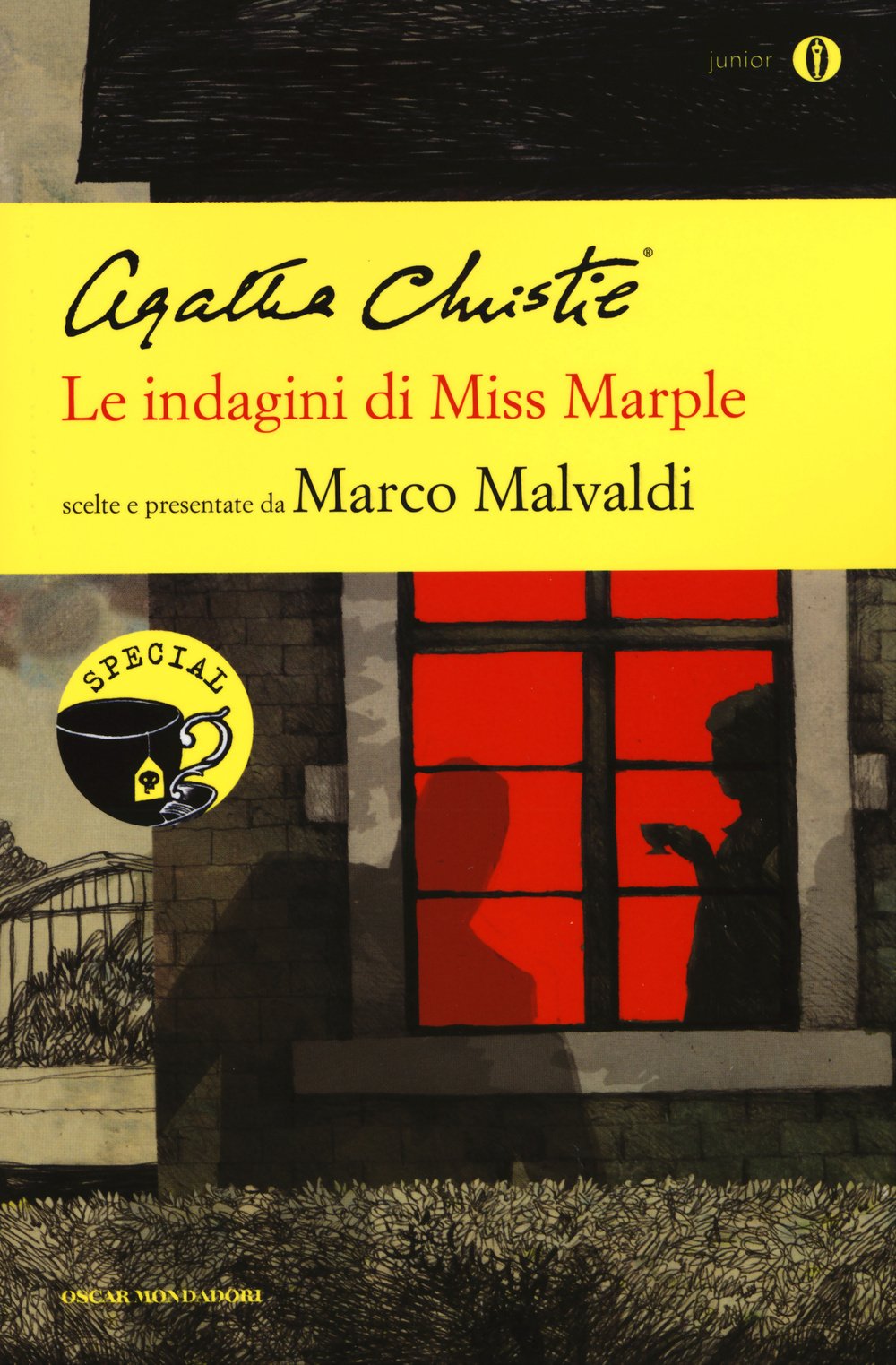 Le indagini di Miss Marple book