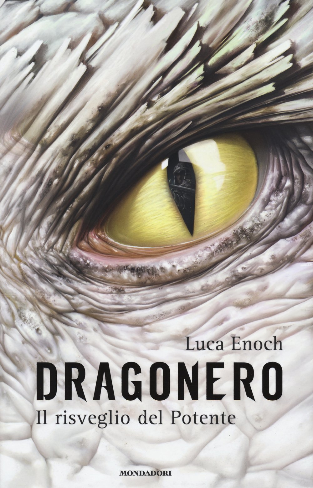 Il risveglio del Potente. Dragonero book