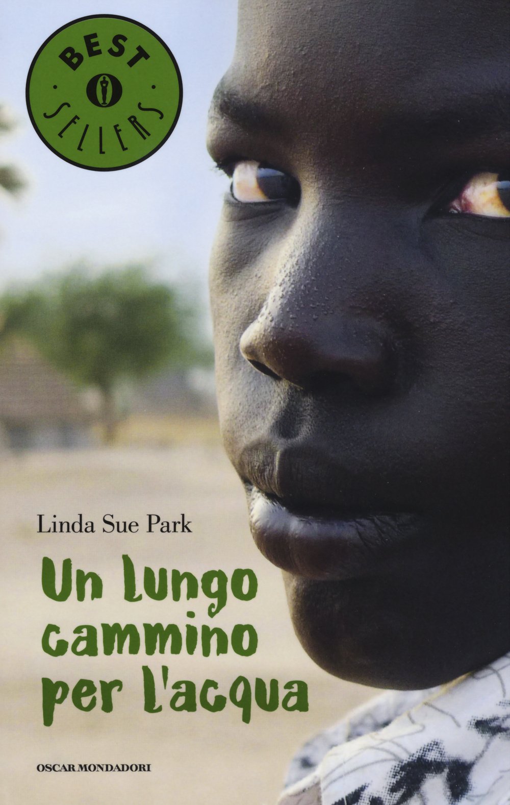 Un lungo cammino per l'acqua book