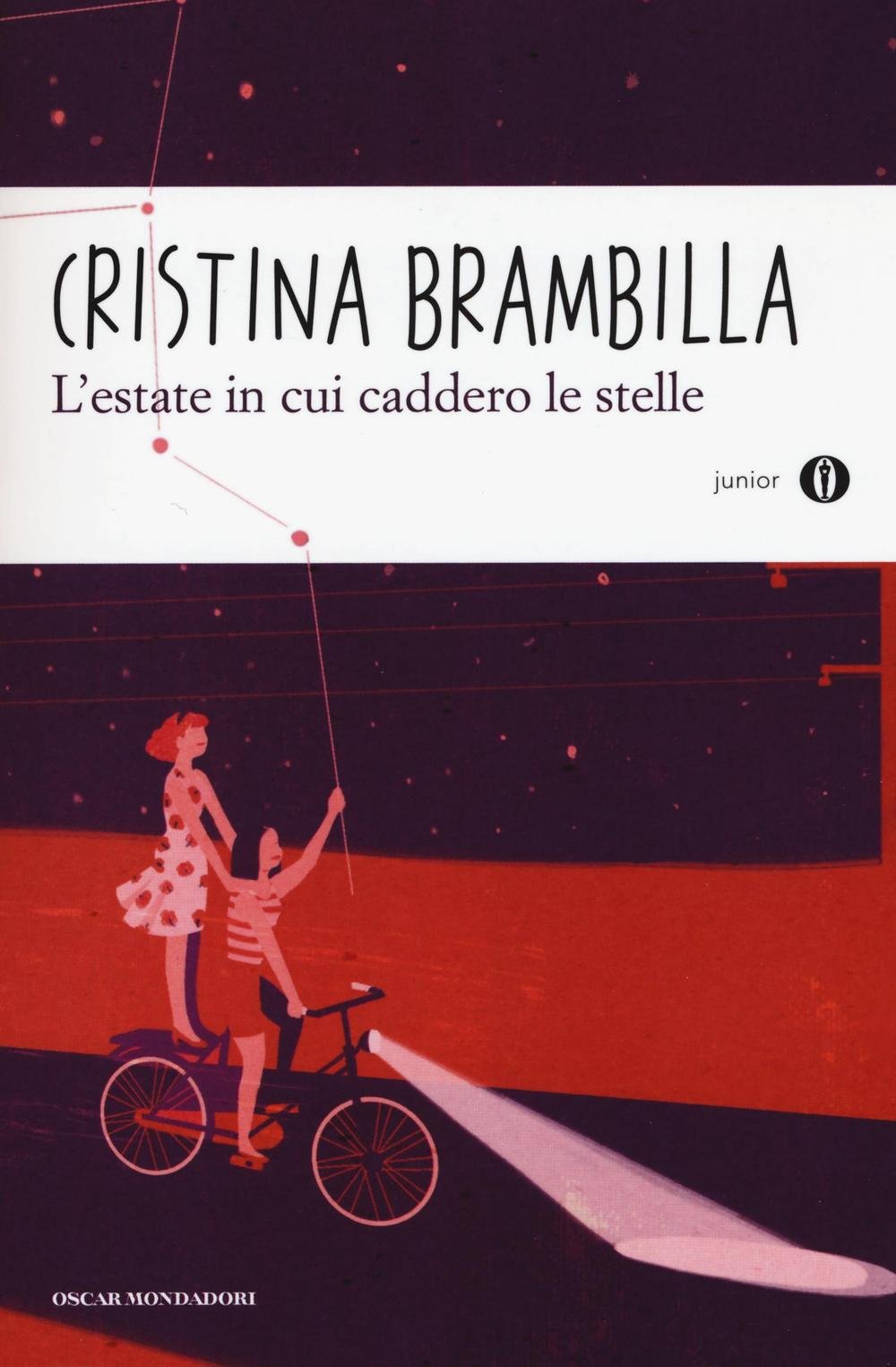 L'estate in cui caddero le stelle book