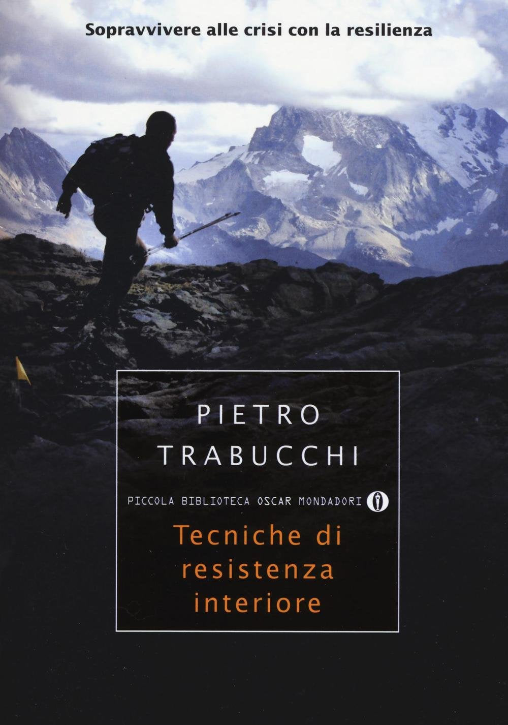 Tecniche di resistenza interiore. Sopravvivere alle crisi con la resilienza (Piccola biblioteca oscar, Band 741) Books