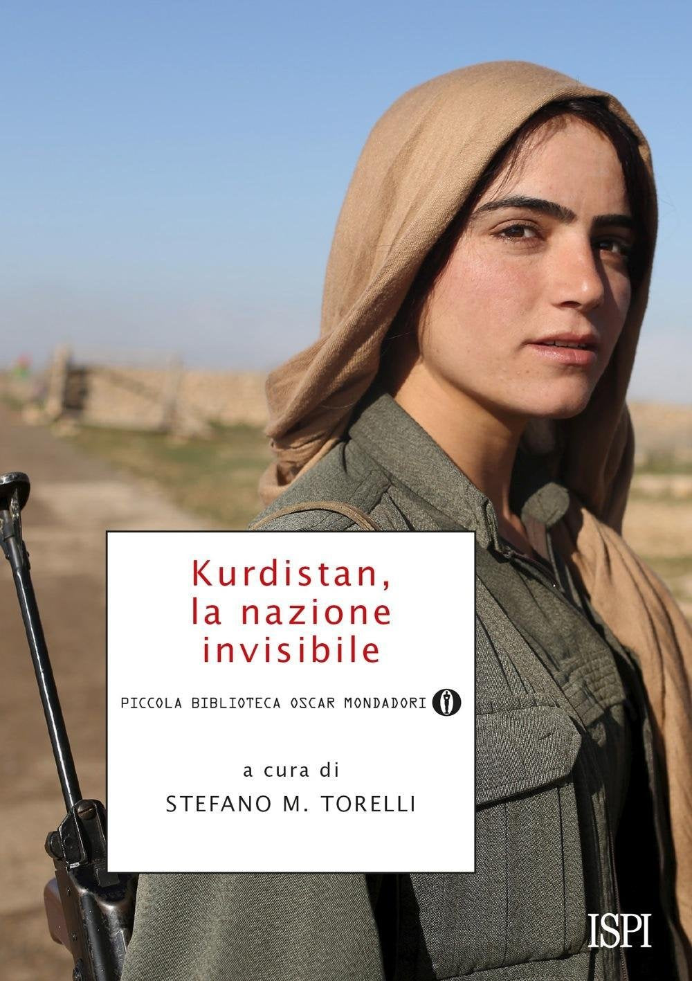 Kurdistan, la nazione invisibile (Piccola biblioteca oscar, Band 602) Politics & History
