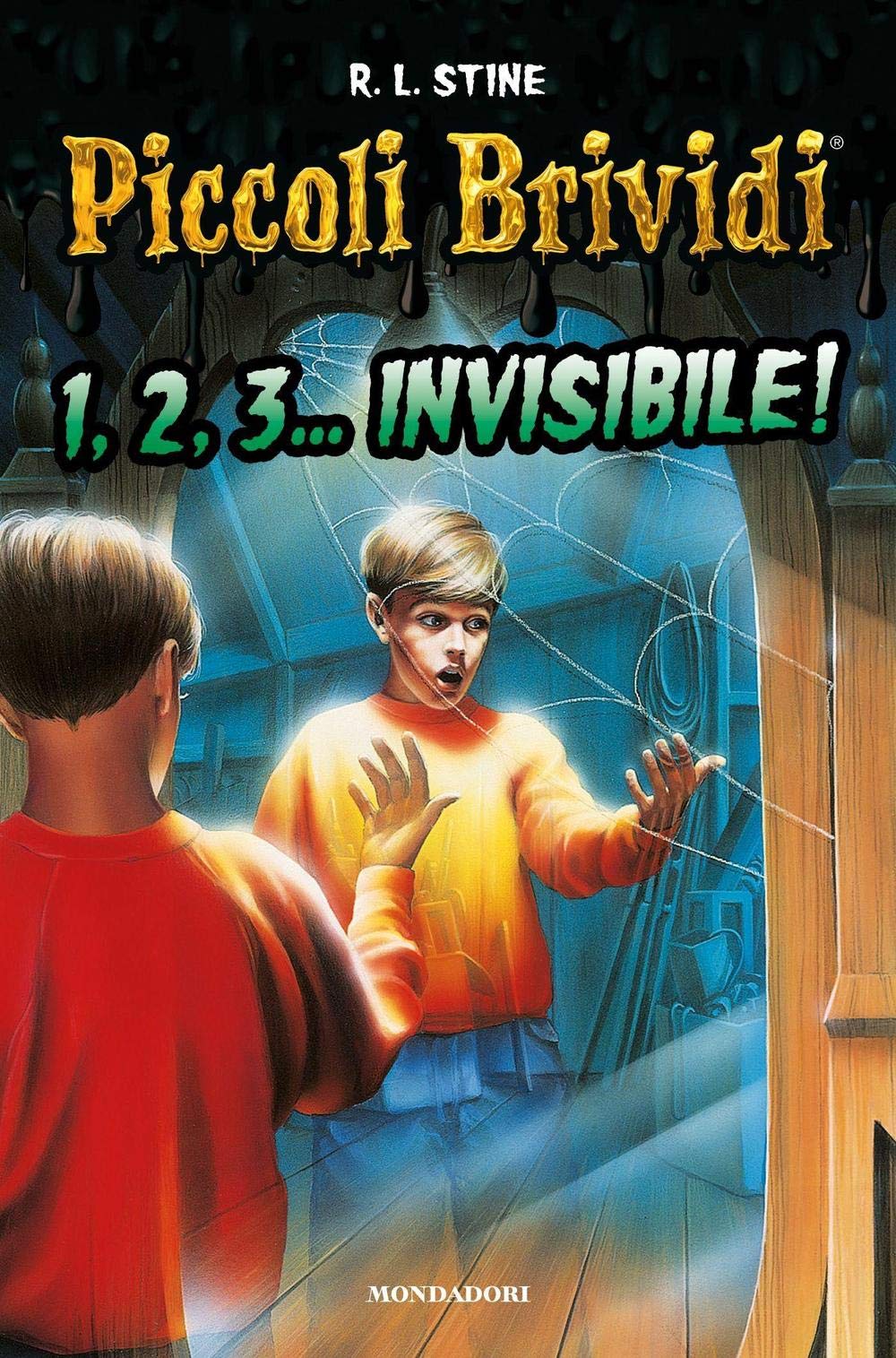 Piccoli brividi. 1, 2, 3... invisibile! book
