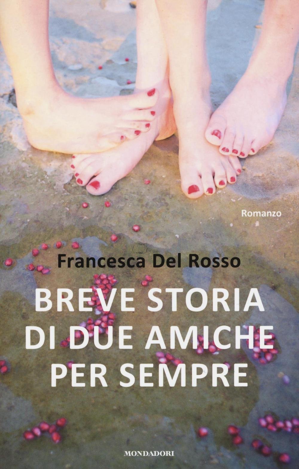 Del Rosso, F: Breve storia di due amiche per sempre Contemporary literature