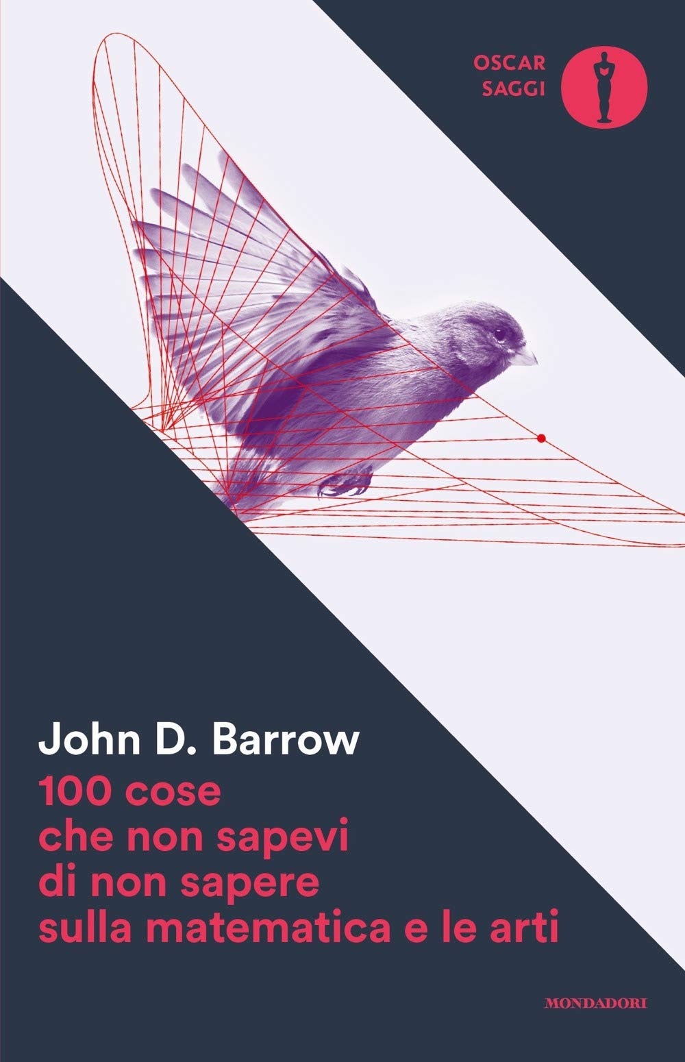 100 cose che non sapevi di non sapere sulla matematica e le arti book