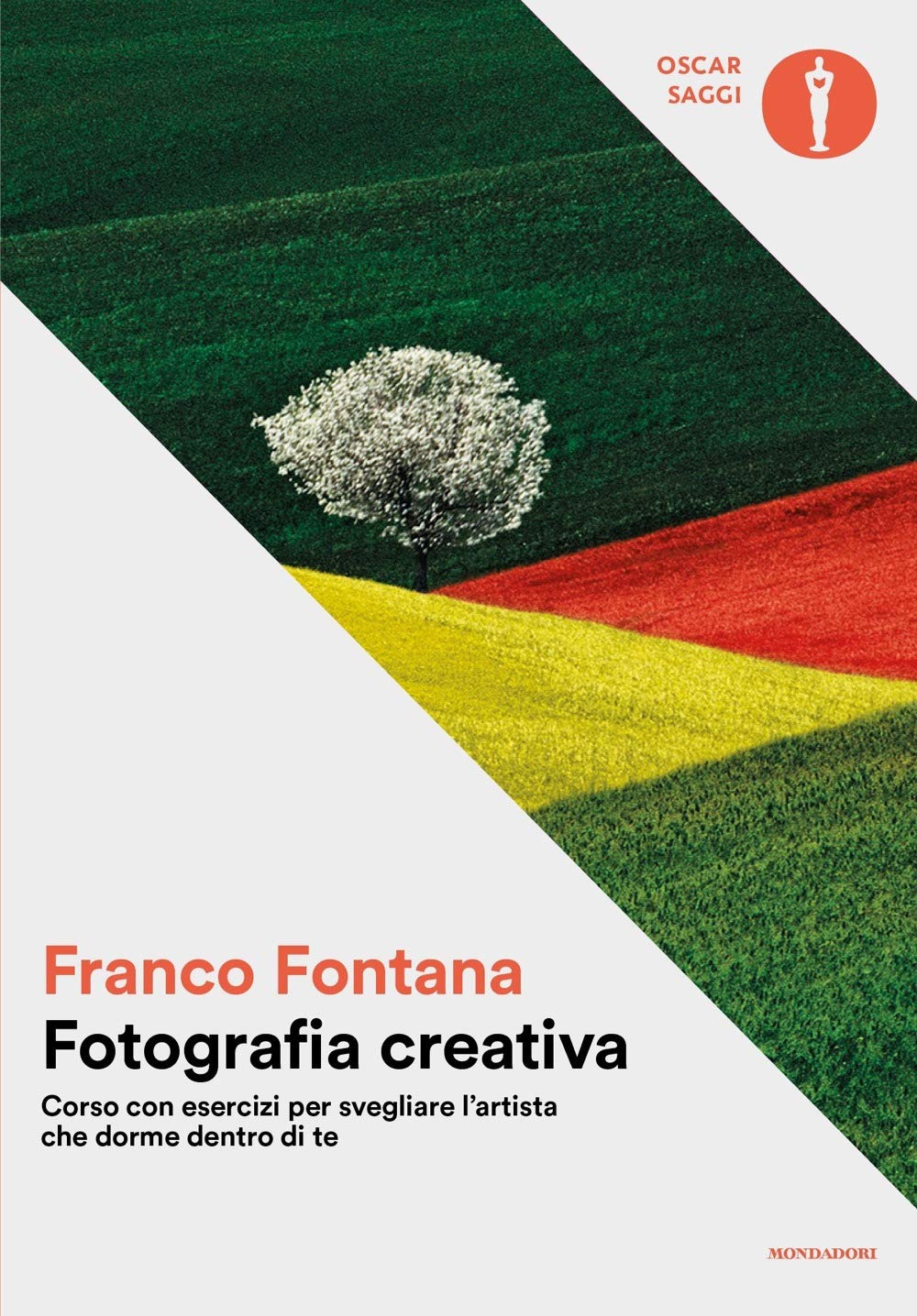 Fotografia creativa. Corso con esercizi per svegliare l'artista che dorme dentro di te (Oscar saggi, Band 43) Film, Art & Culture