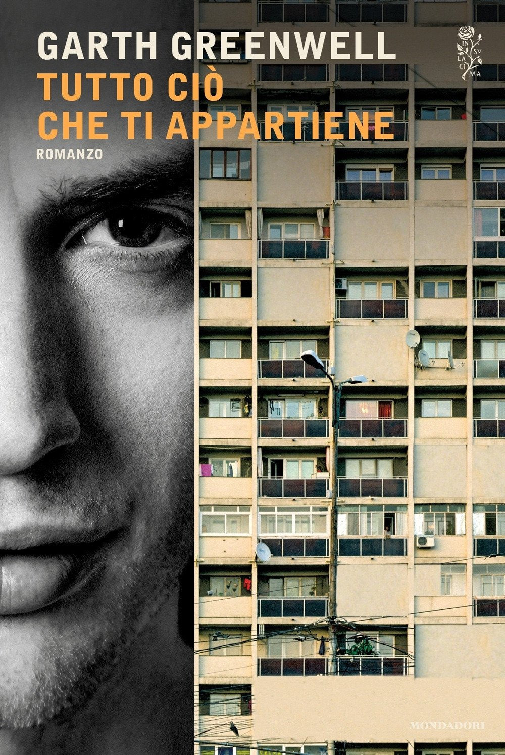 Tutto ciò che ti appartiene book