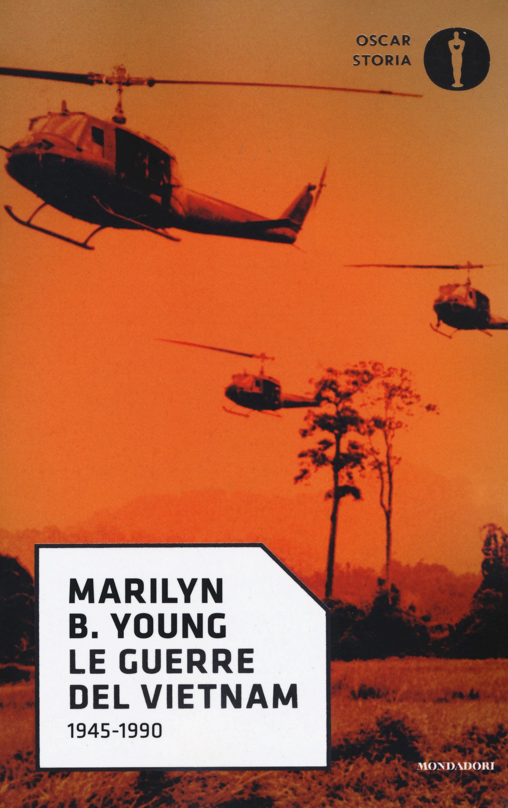 Le guerre del Vietnam. 1945-1990 Politics & History