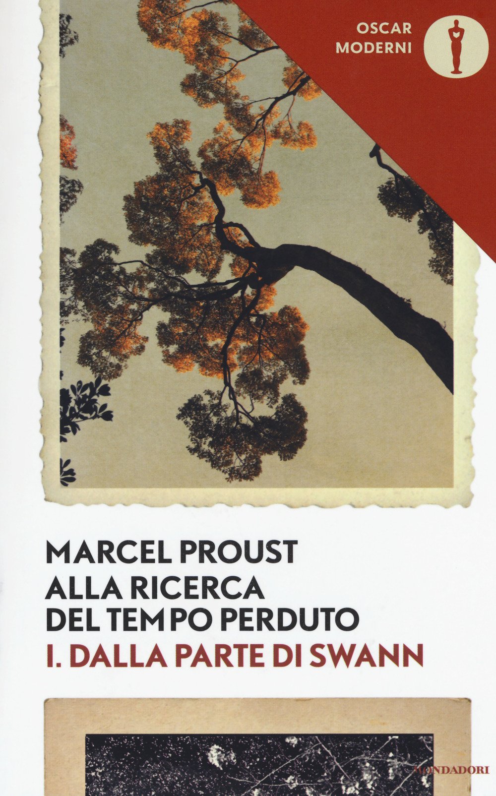 Dalla parte di Swann VOL I - Alla ricerca del tempo perduto book