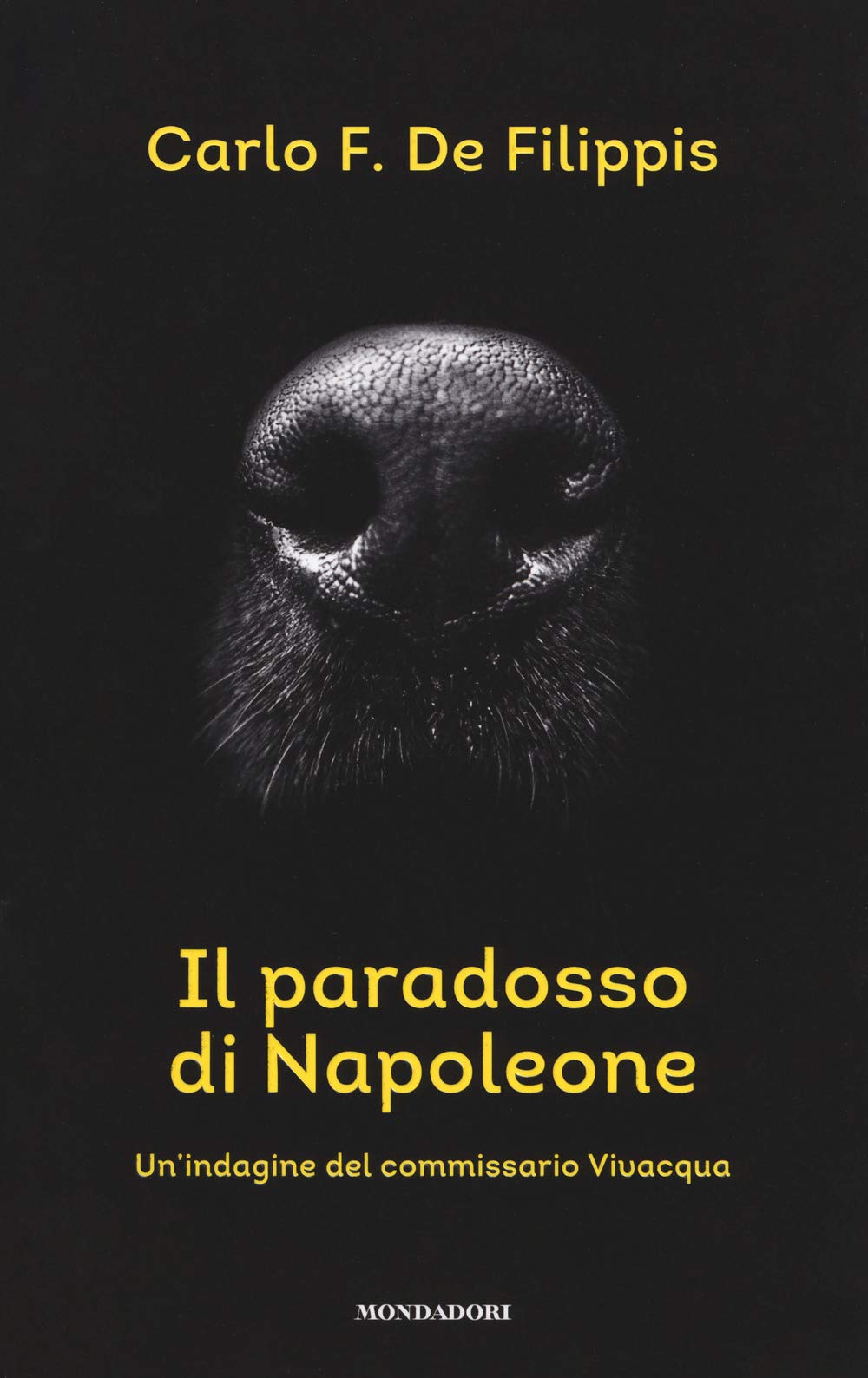 Il paradosso di Napoleone. Un'indagine del commissario Vivacqua (Omnibus) Contemporary literature Books