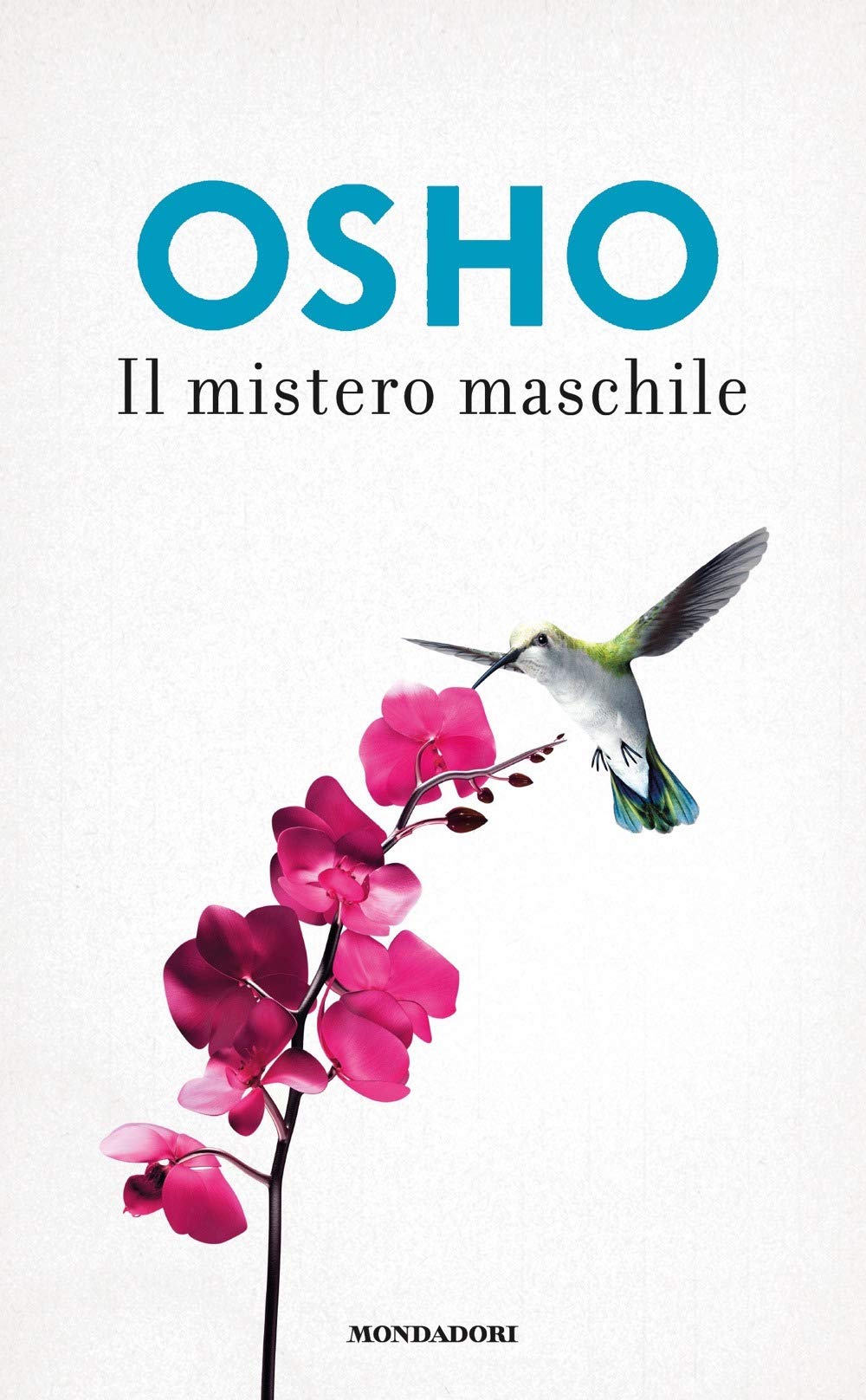 Il mistero maschile Books