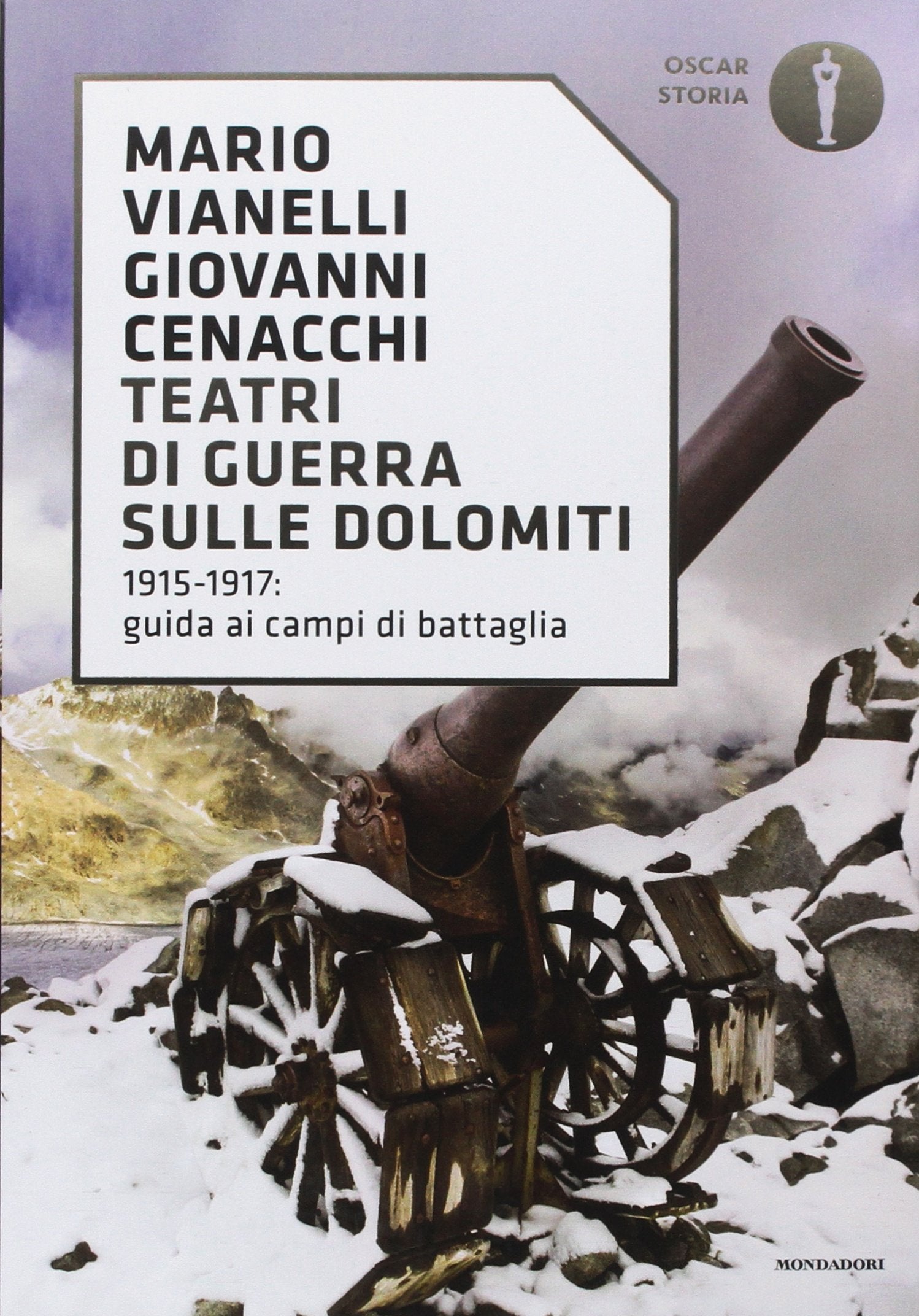 Teatri di guerra sulle Dolomiti. 1915-1917: guida ai campi di battaglia book