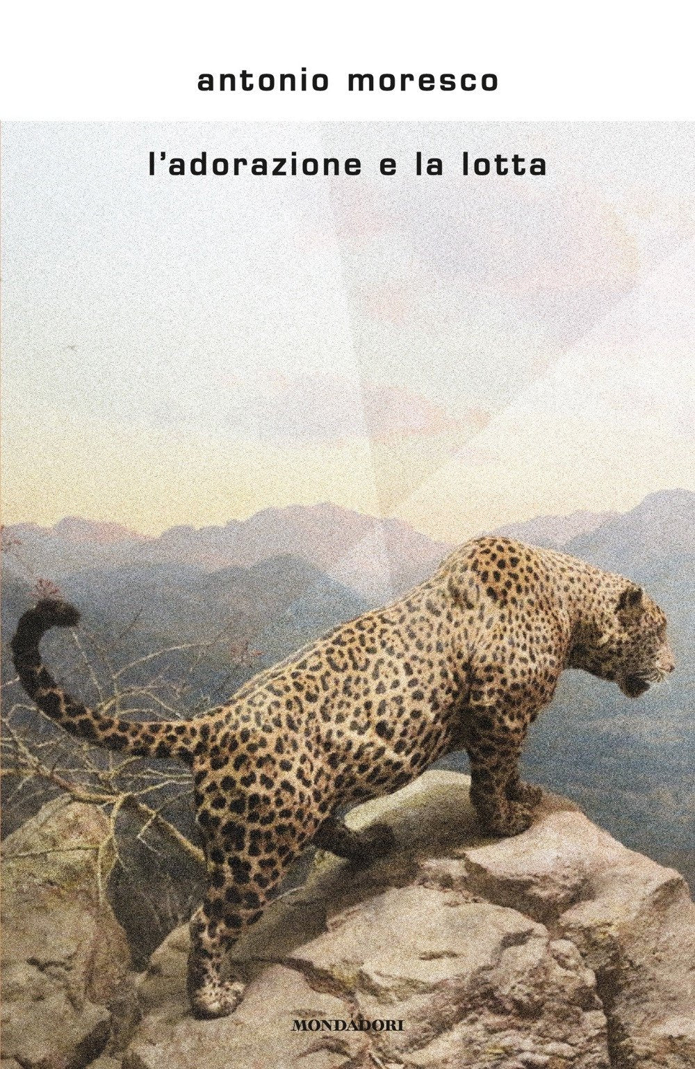 L'adorazione e la lotta (Scrittori italiani e stranieri) Essays & Short Stories