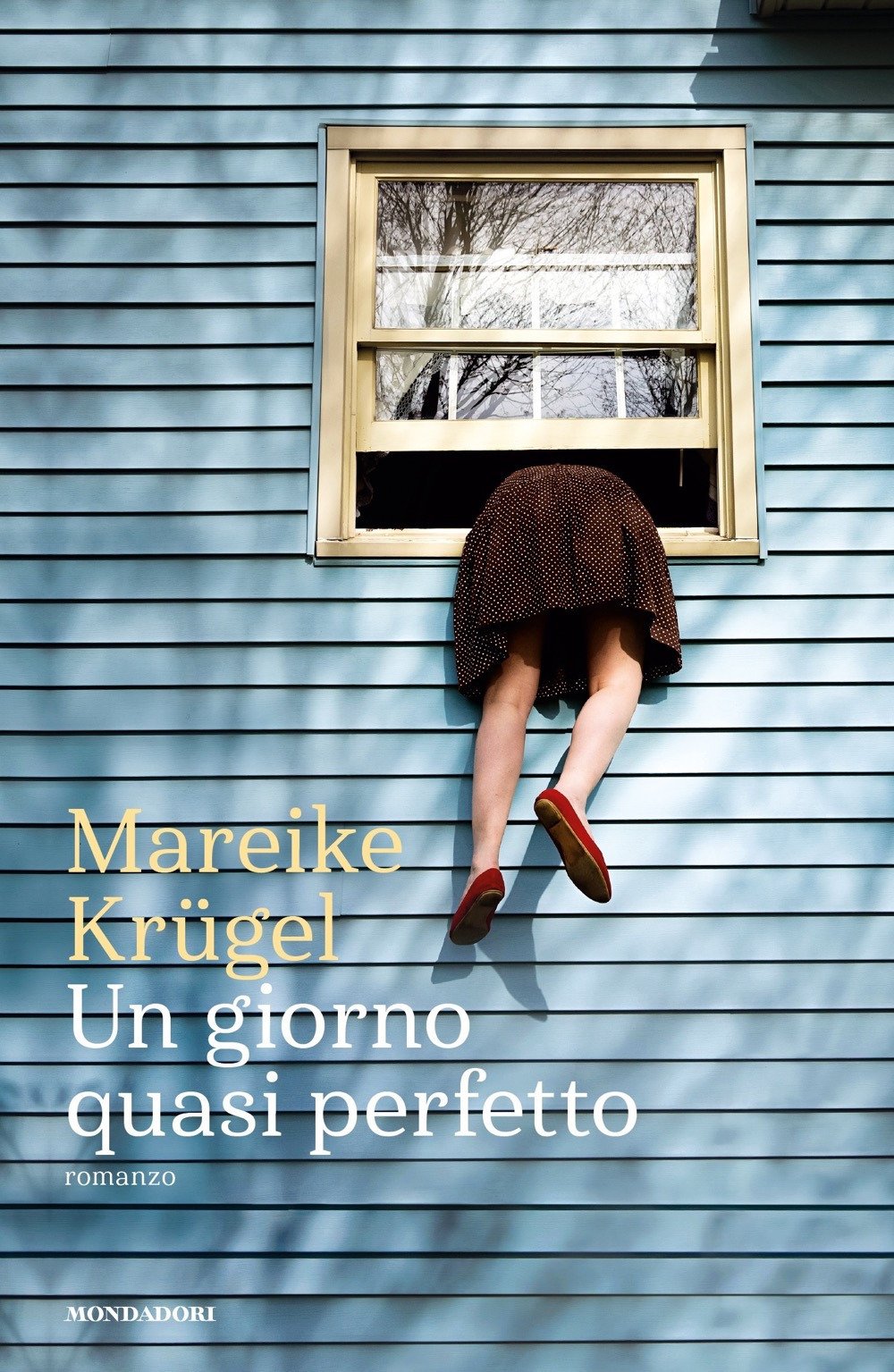 Un giorno quasi perfetto book